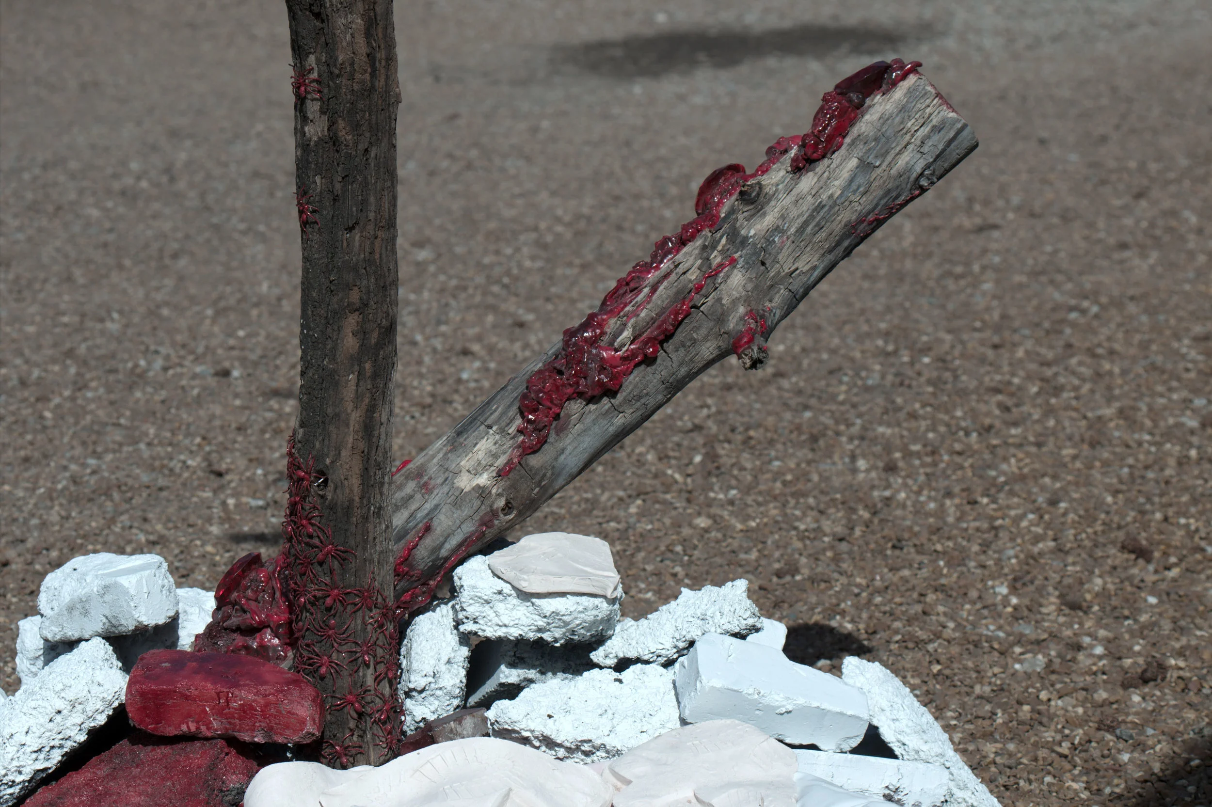 detail-spider-and-log.jpg