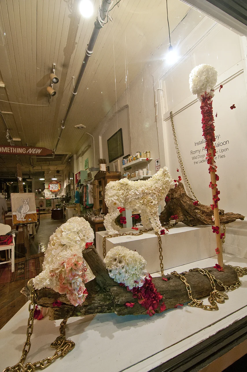 DSC_0105 web.jpg
