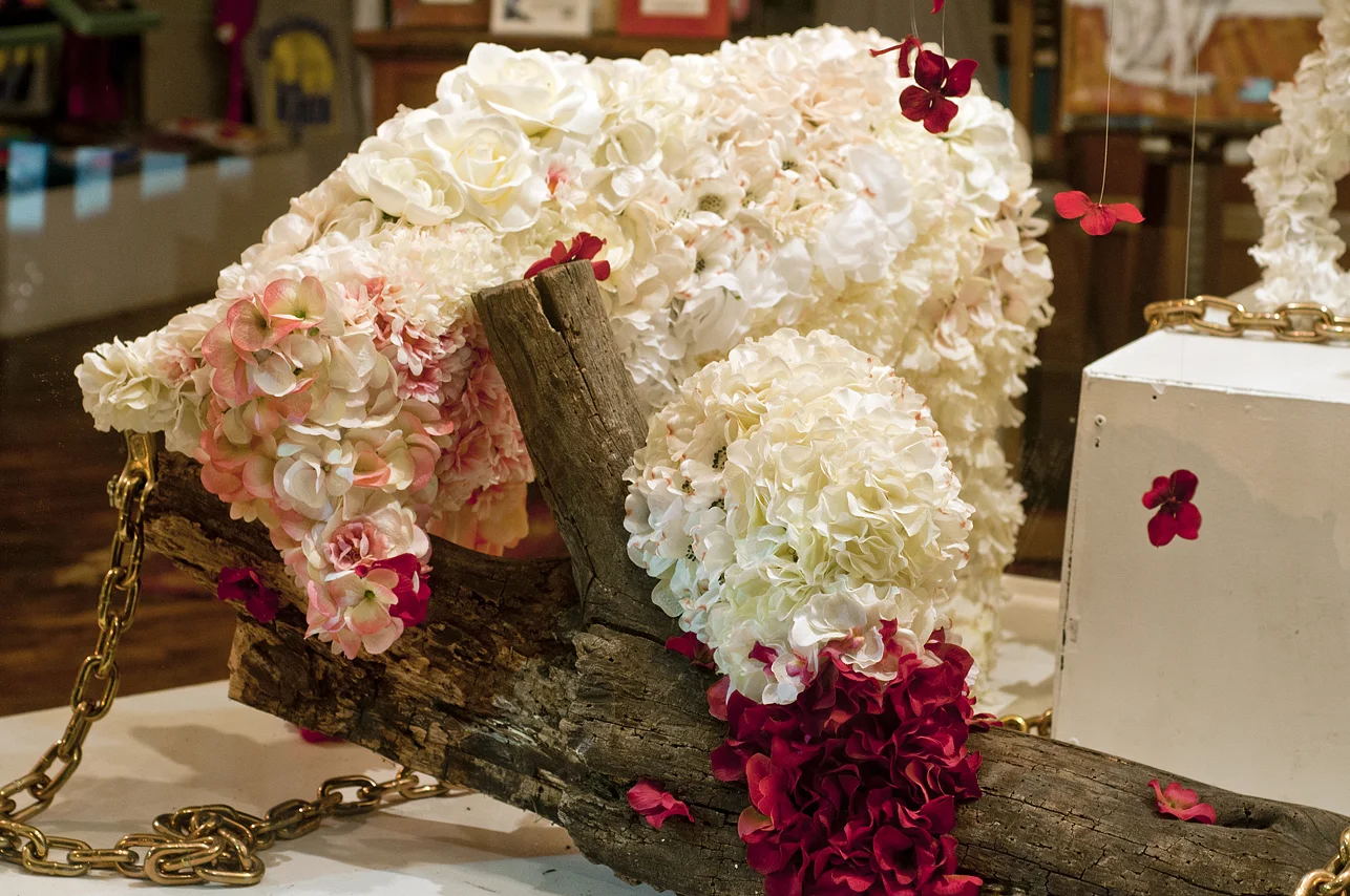 Wild Dogs Stumble Upon the Ladies of the Flies