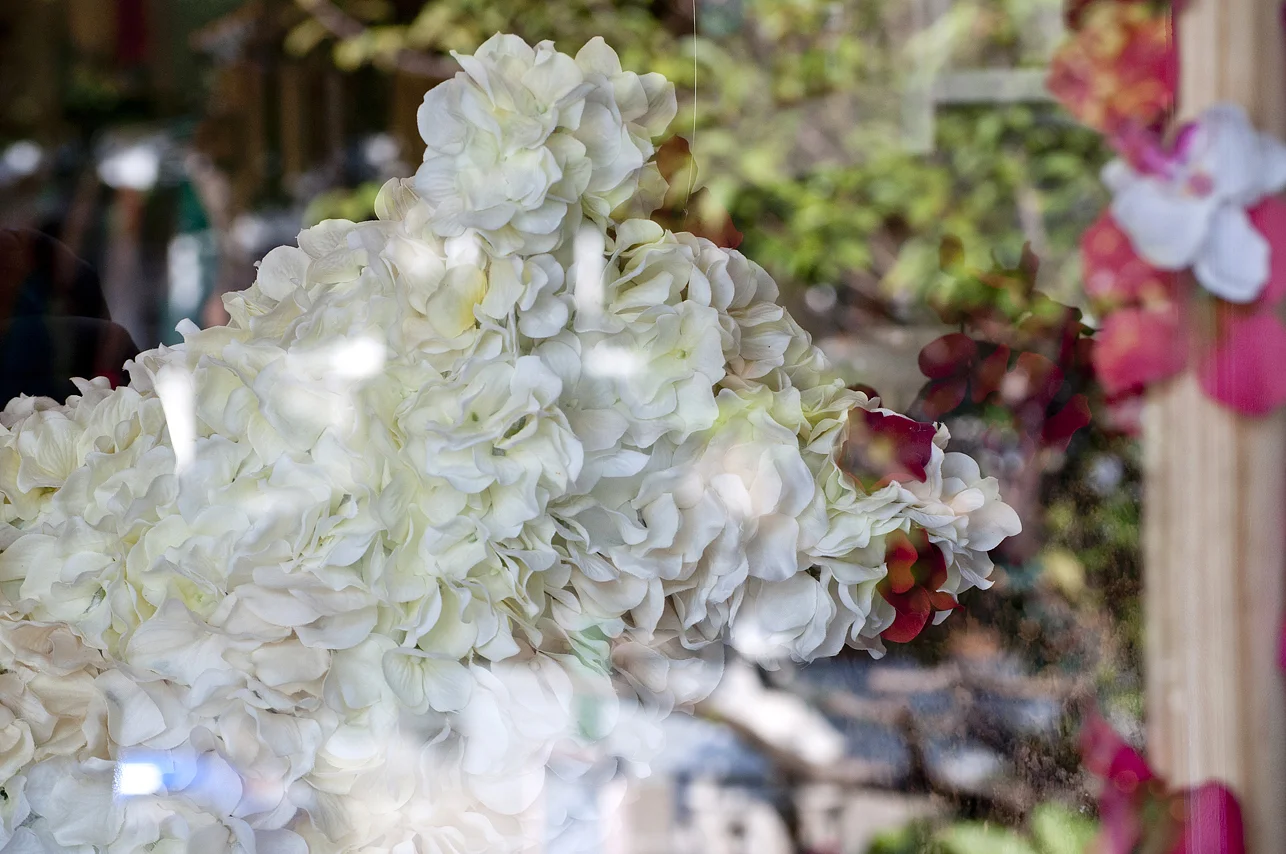 DSC_0293 web.jpg