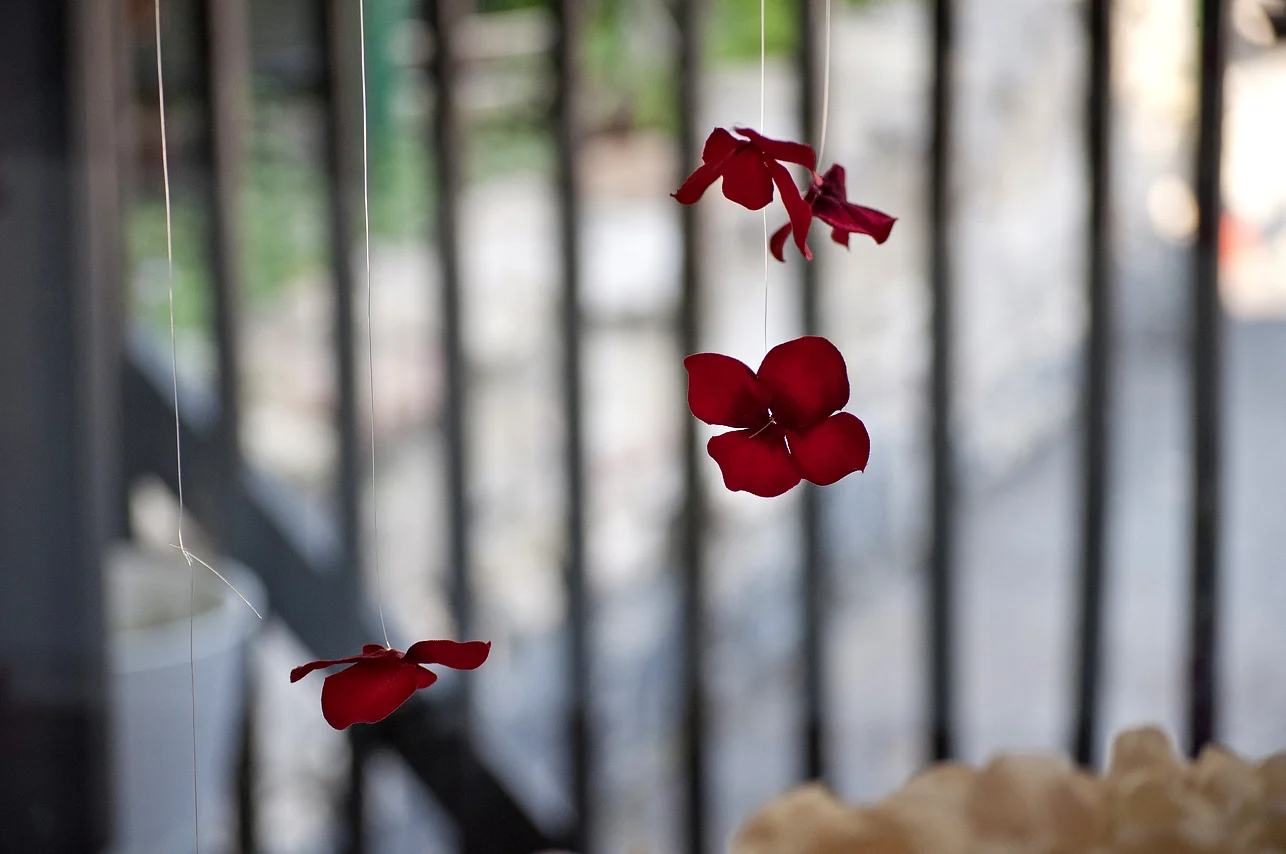 DSC_0299 web.jpg