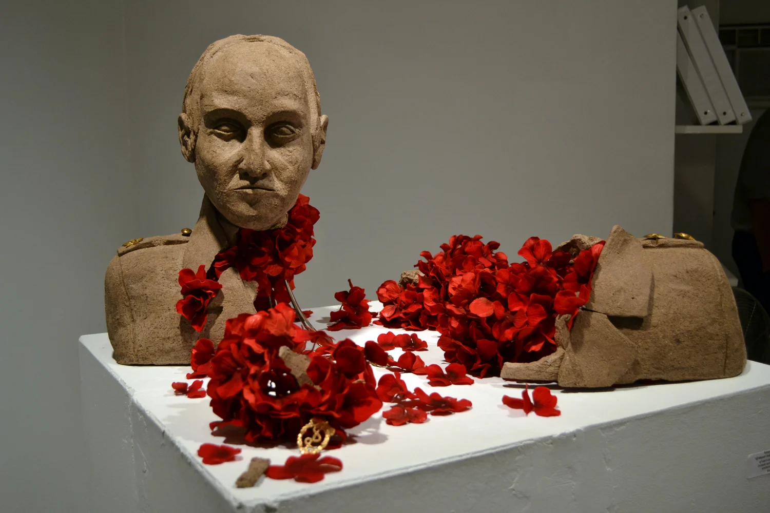 Afrikaner Soldier- At the Peak of One's Career, 1976