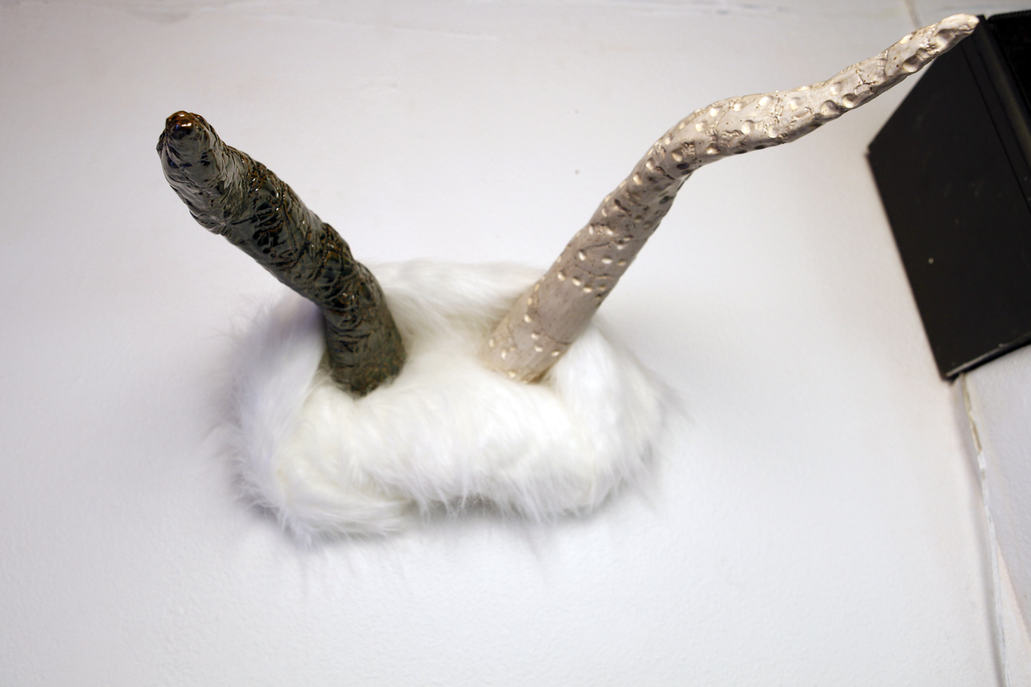 Ball and Chain Horns, Below.jpg