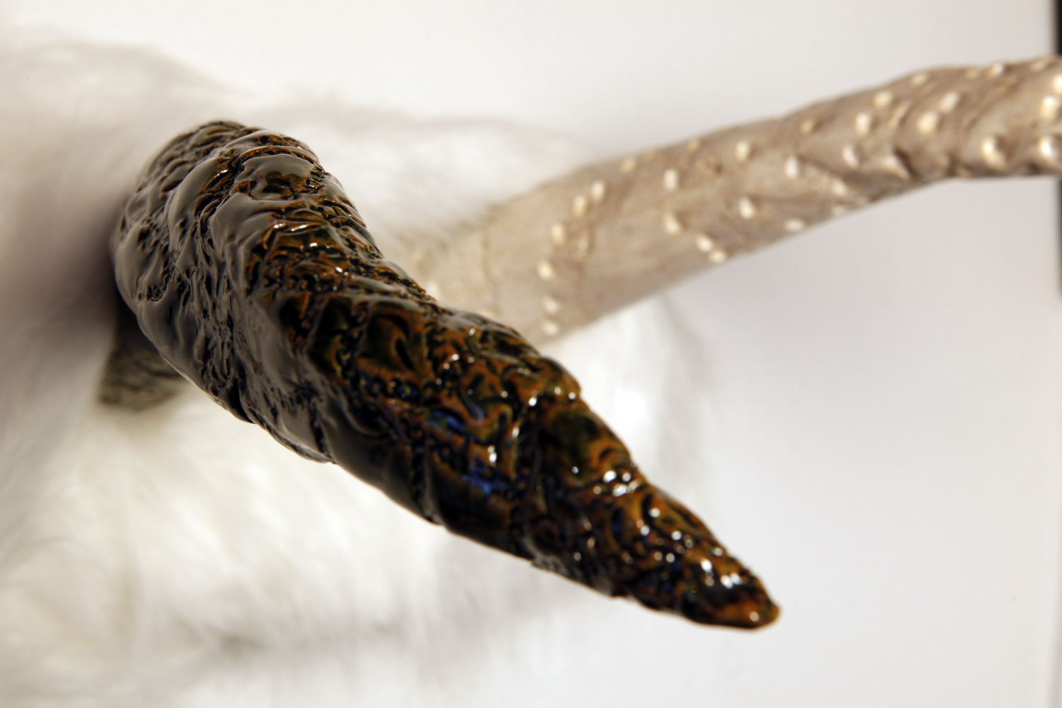 Ball and Chain Horns, Close, Green.jpg