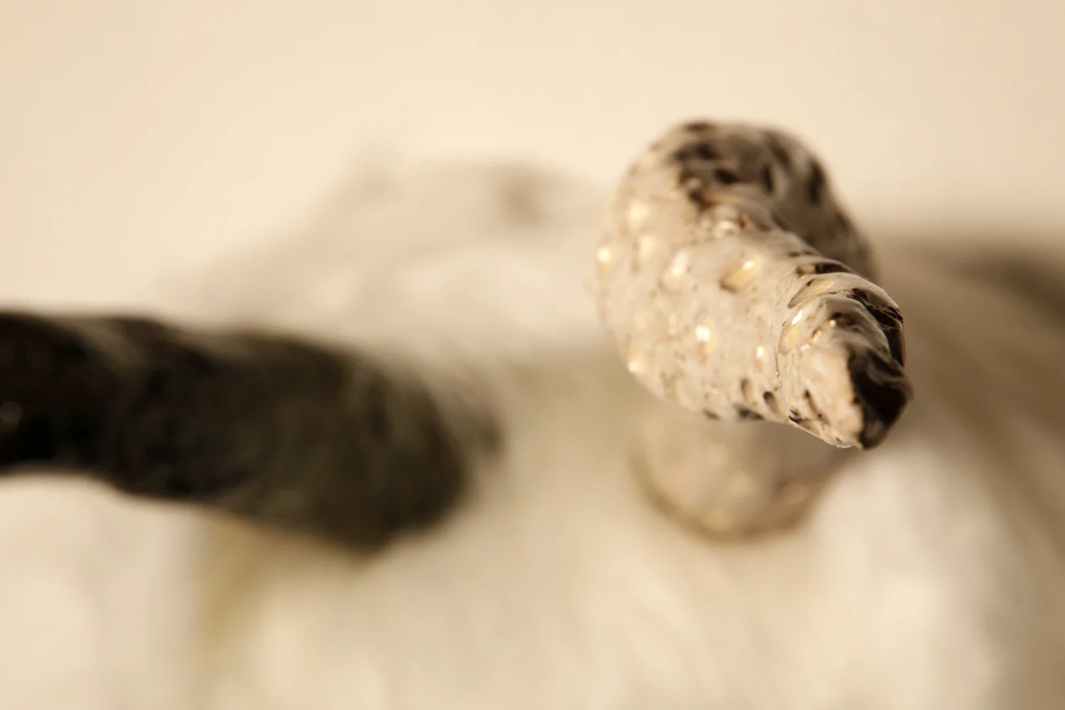 Ball and Chain Horns, Close, White.jpg