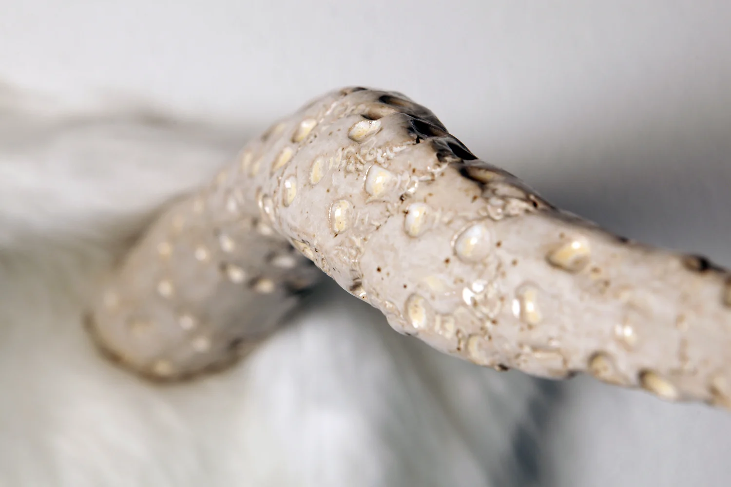 Ball and Chain Horns, Close, White2.jpg