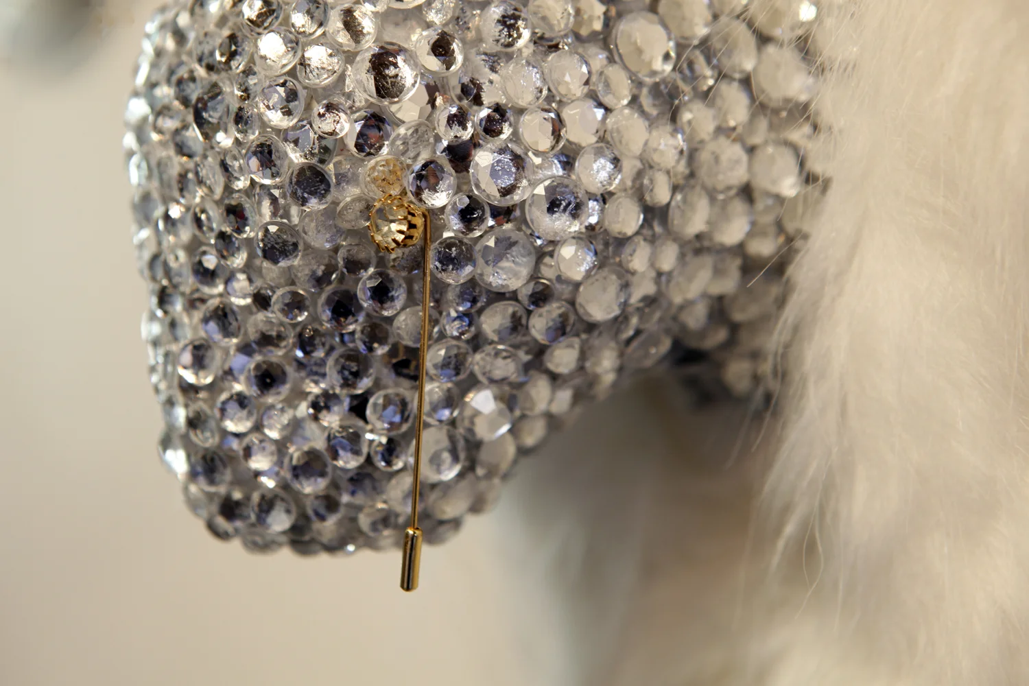 Bunny- Side w Mon, Close.jpg