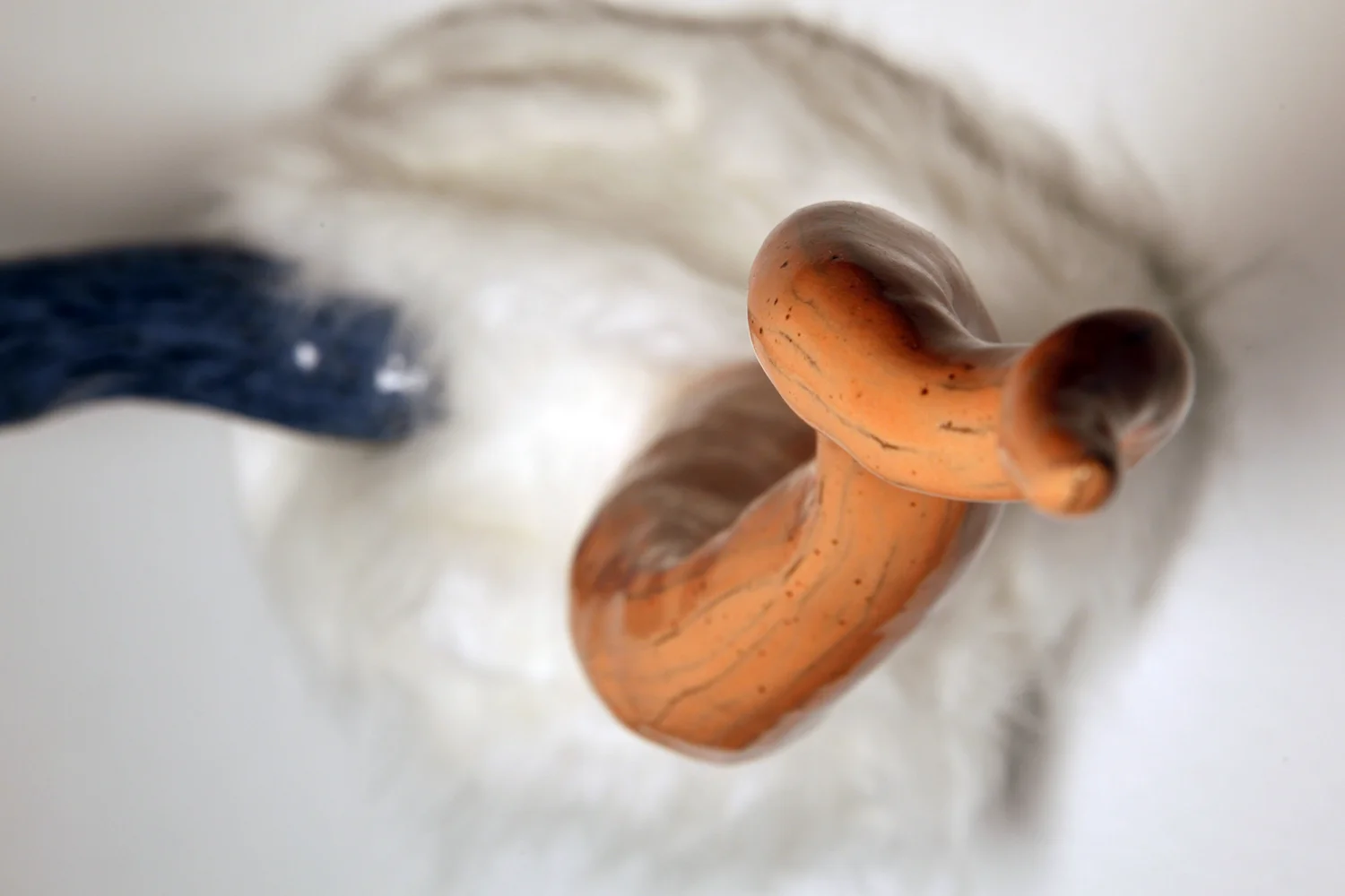 Nautical HornsClose.jpg