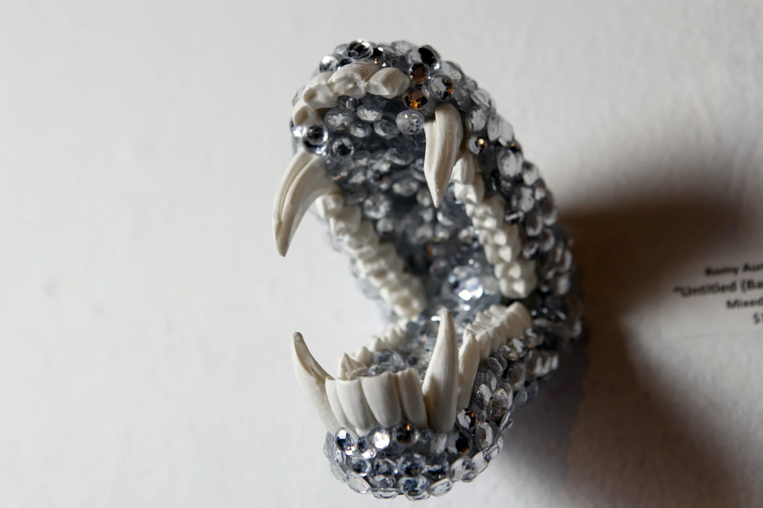 Teeth Sideunder.jpg