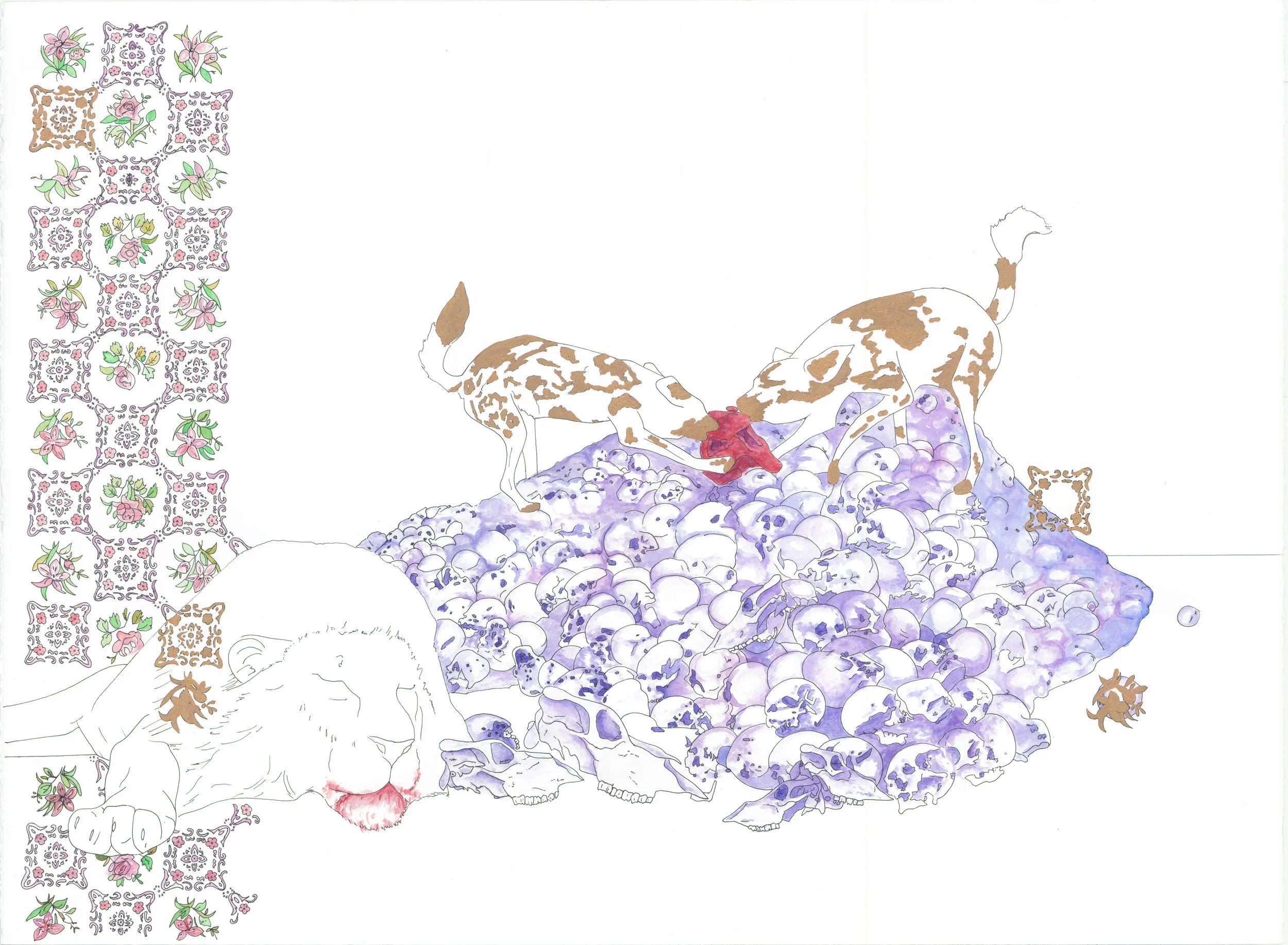 There more than enough .jpg