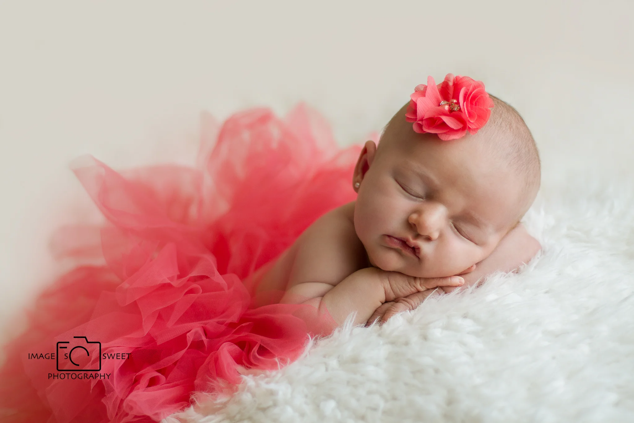 _MG_6982-Edit-Edit.jpg