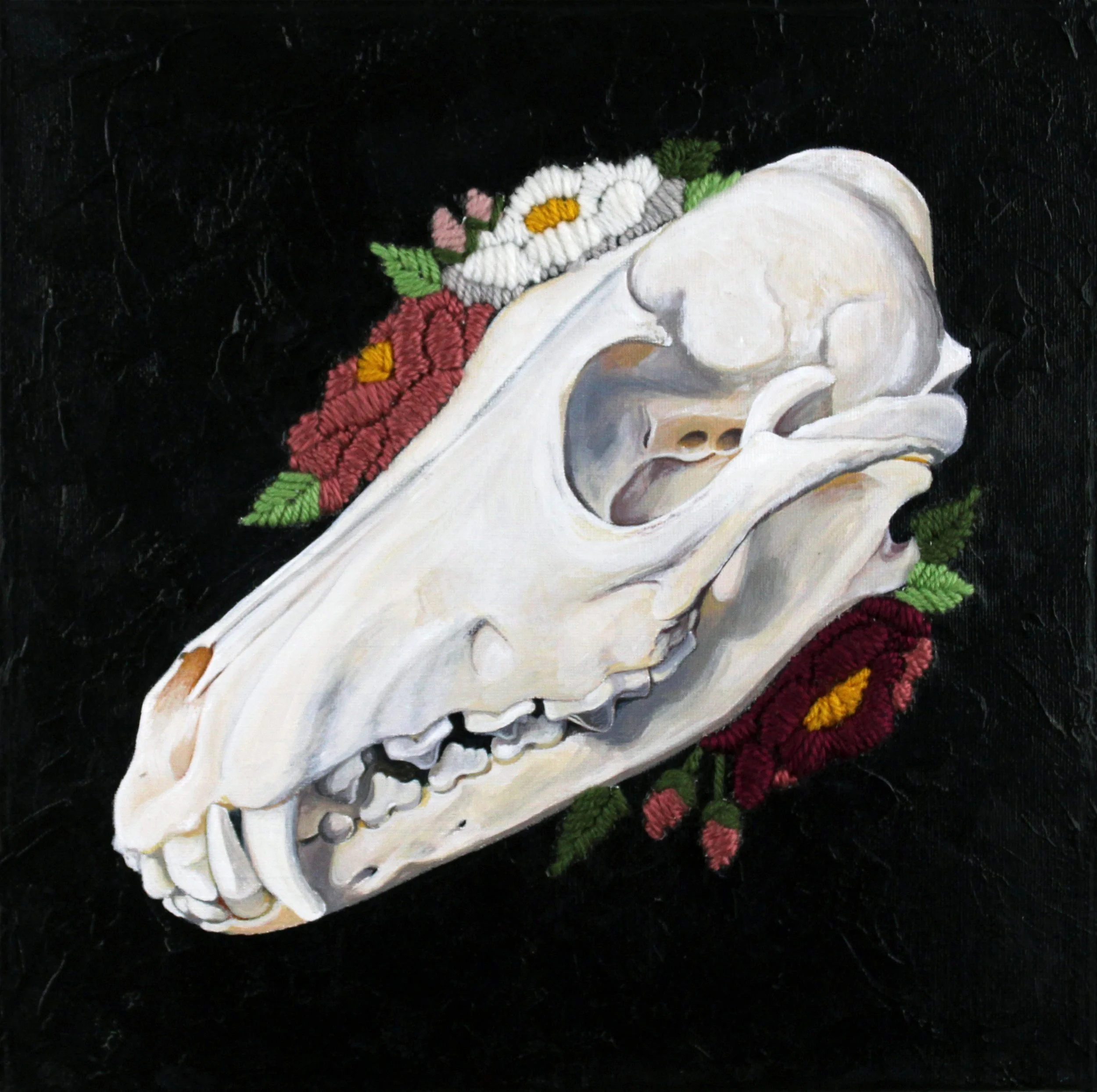 Coyote Skull.jpg