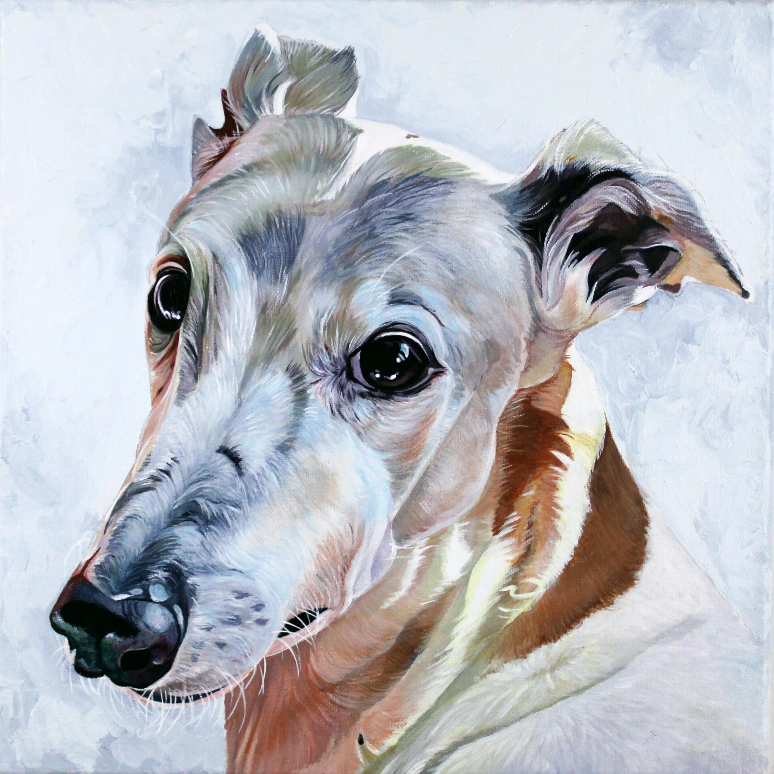 Macie for Website.jpg