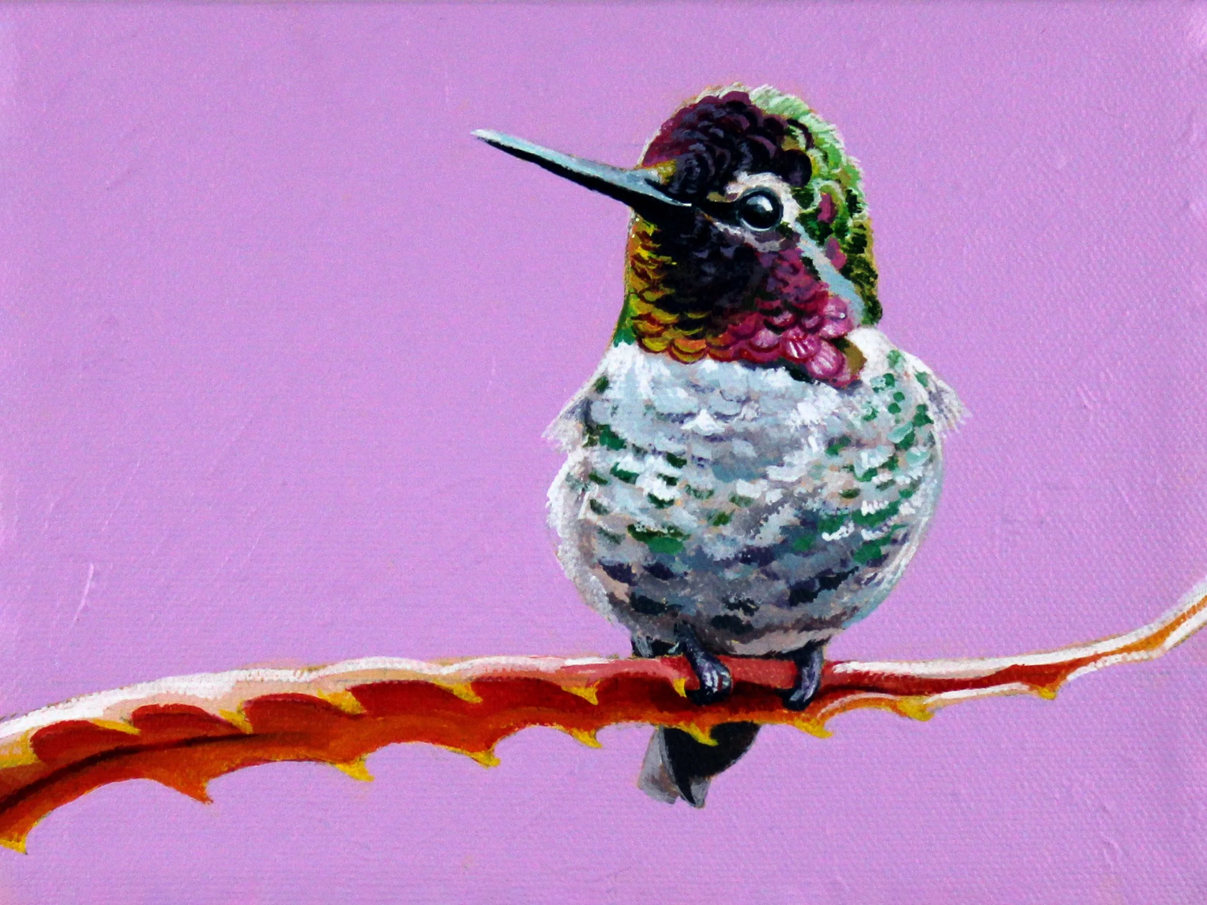 Hummingbird 6x8.jpg