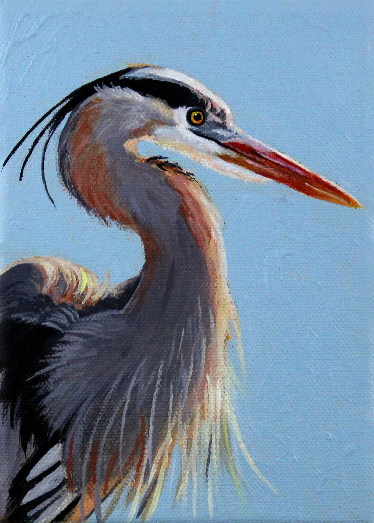 Heron 5x7.jpg
