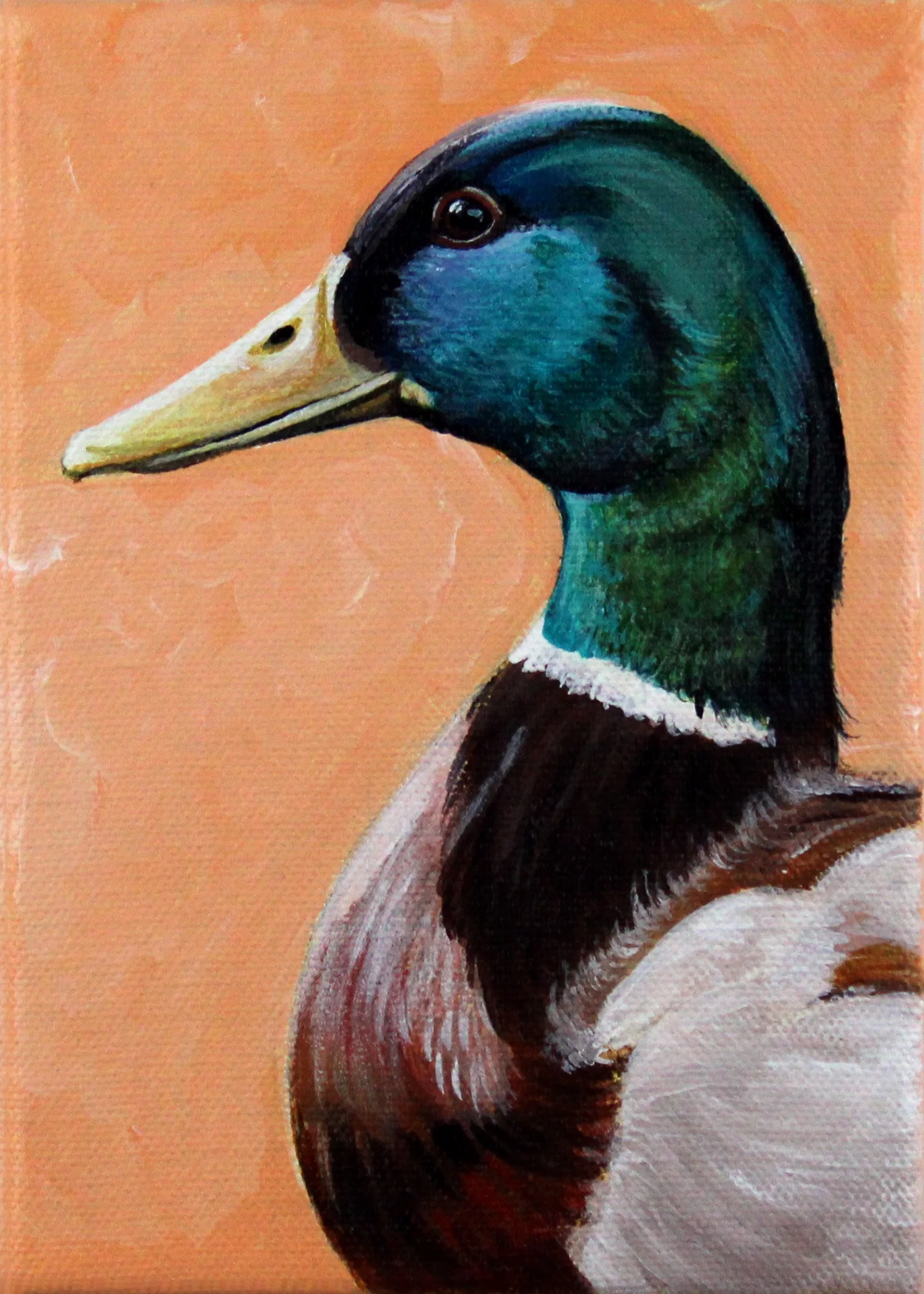 Duck 5x7.jpg