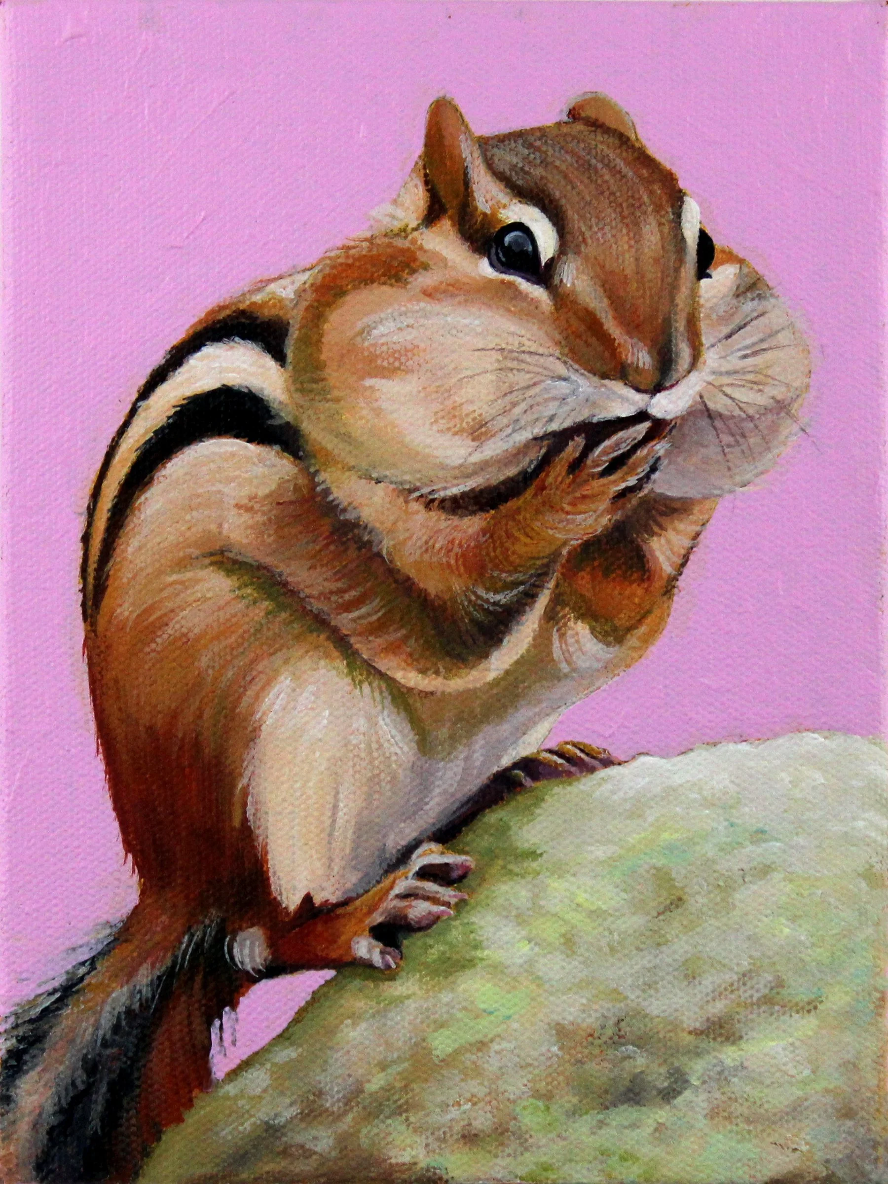 Chipmunk 6x8.jpg