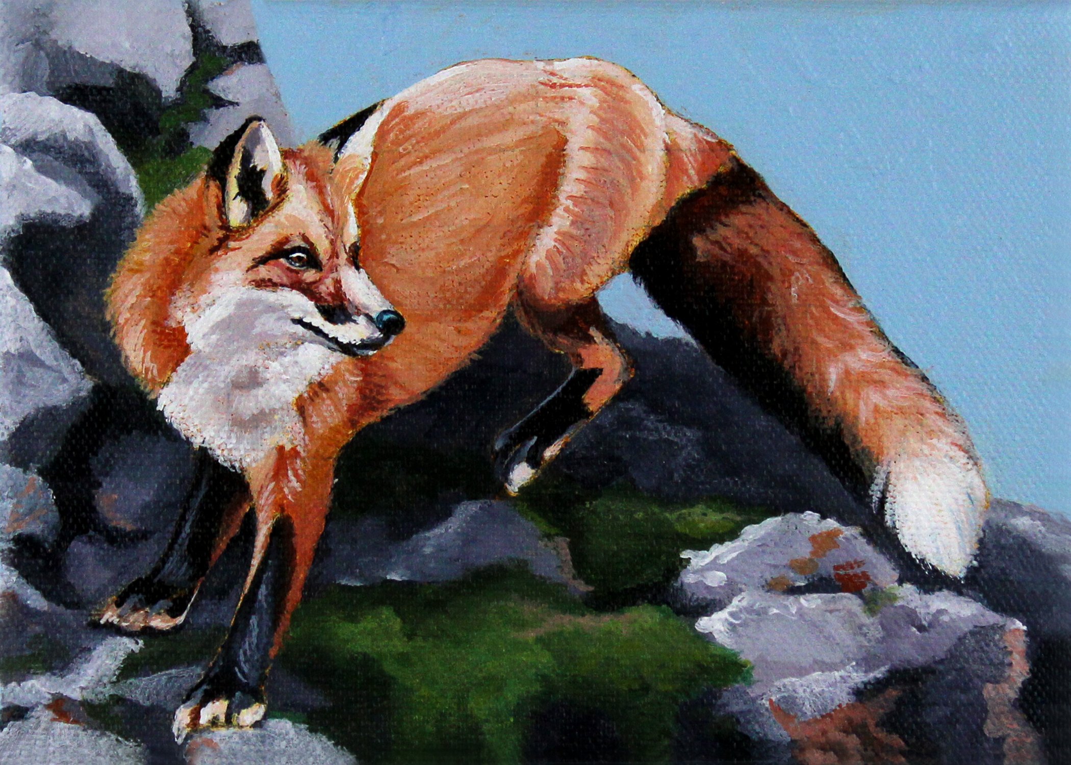 Fox 5x7.jpg