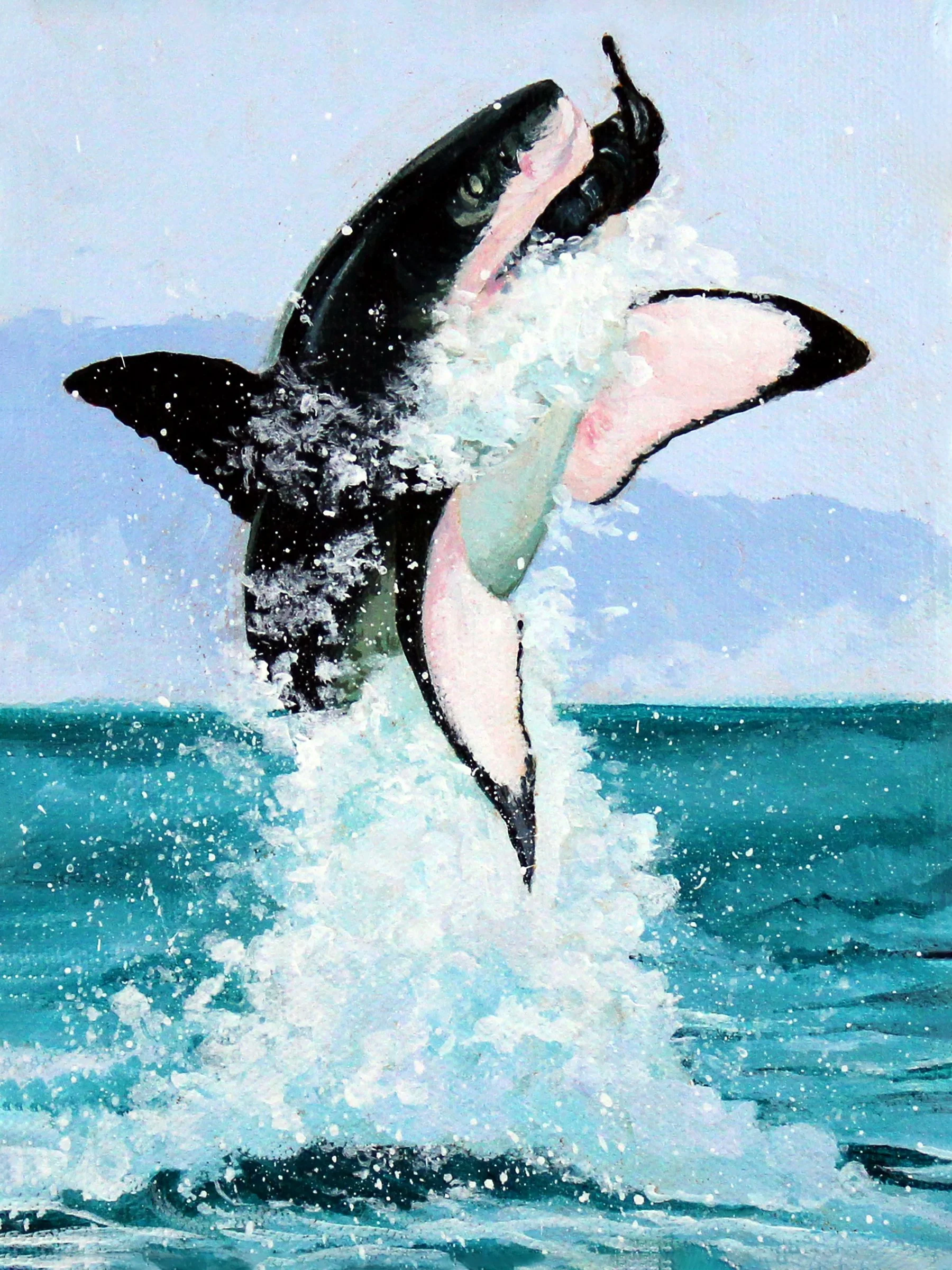 Bruce 6x8.jpg