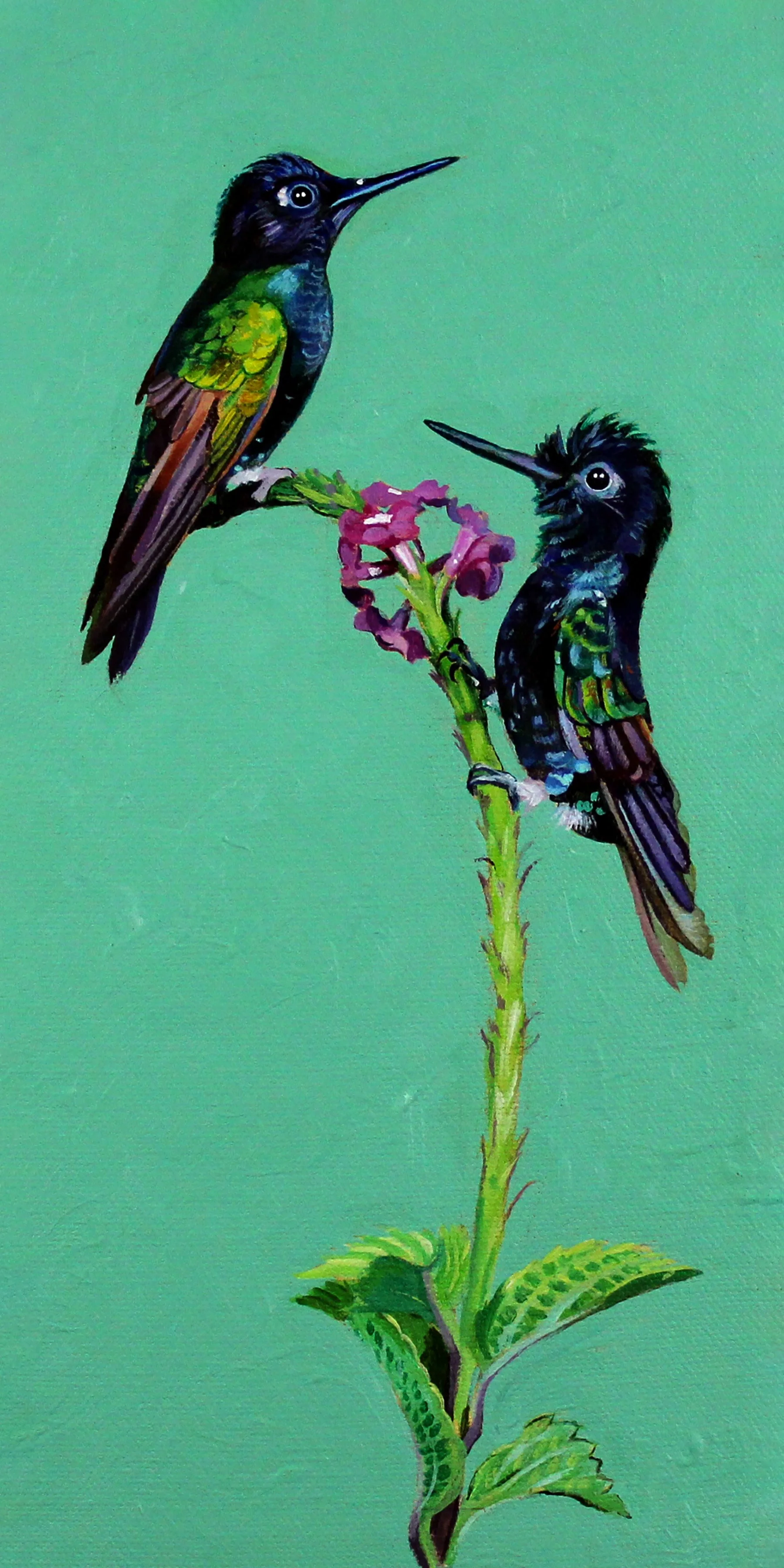 Velvet-purple Coronets 6x12.jpg