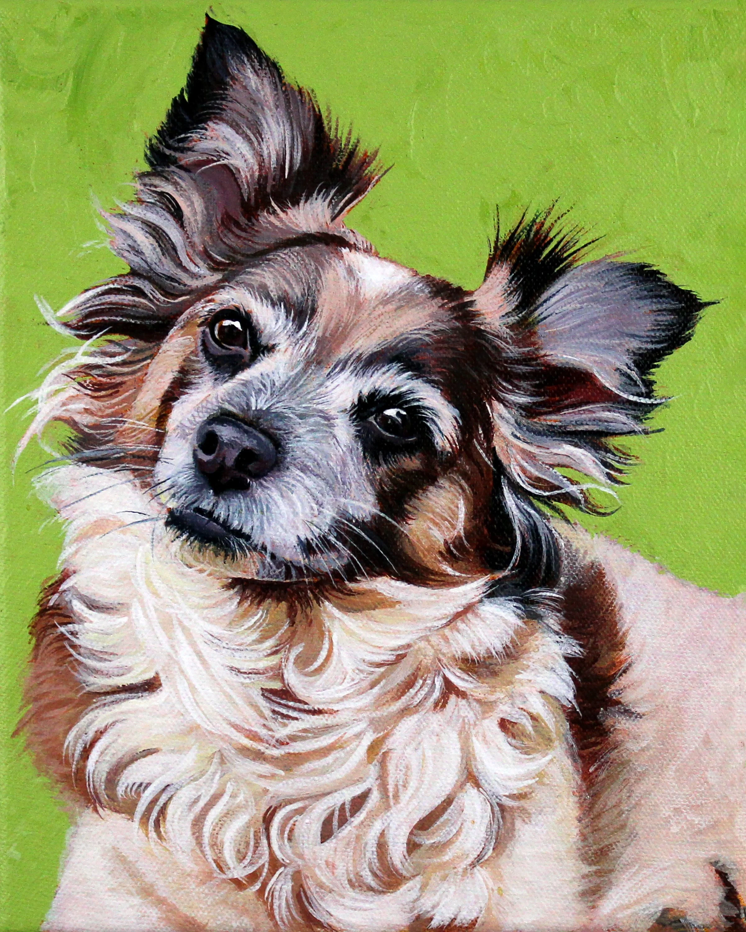 Lucy Print 8x10.jpg