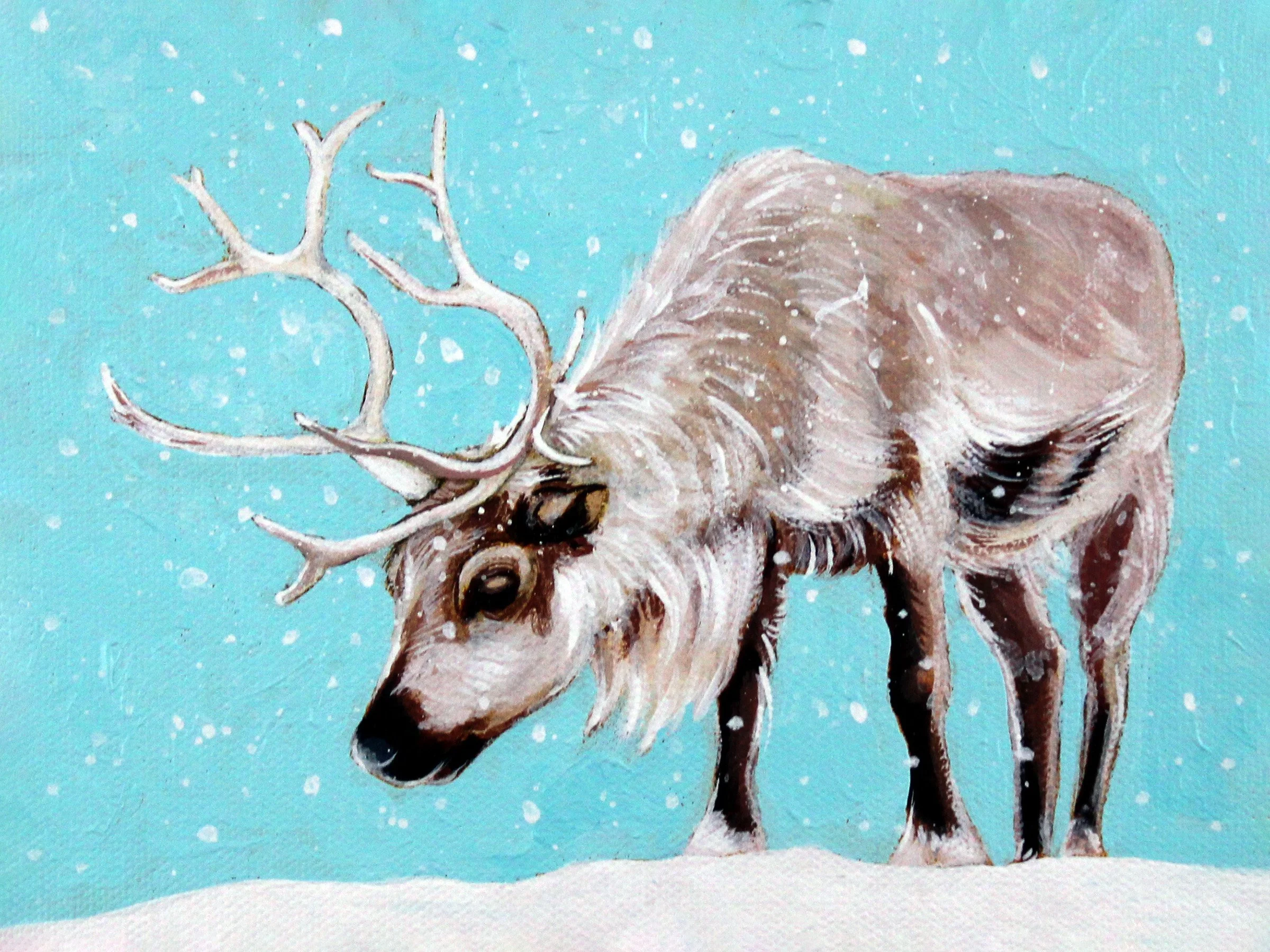 Reindeer 6x8.jpg