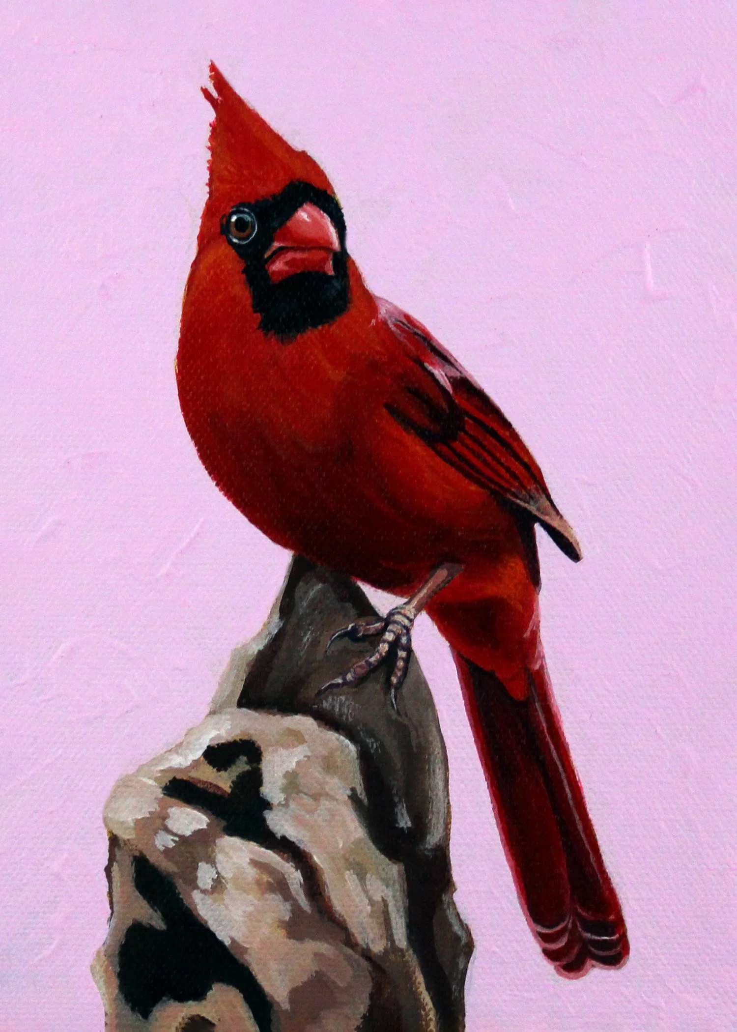 Cardinal 6x8.jpg