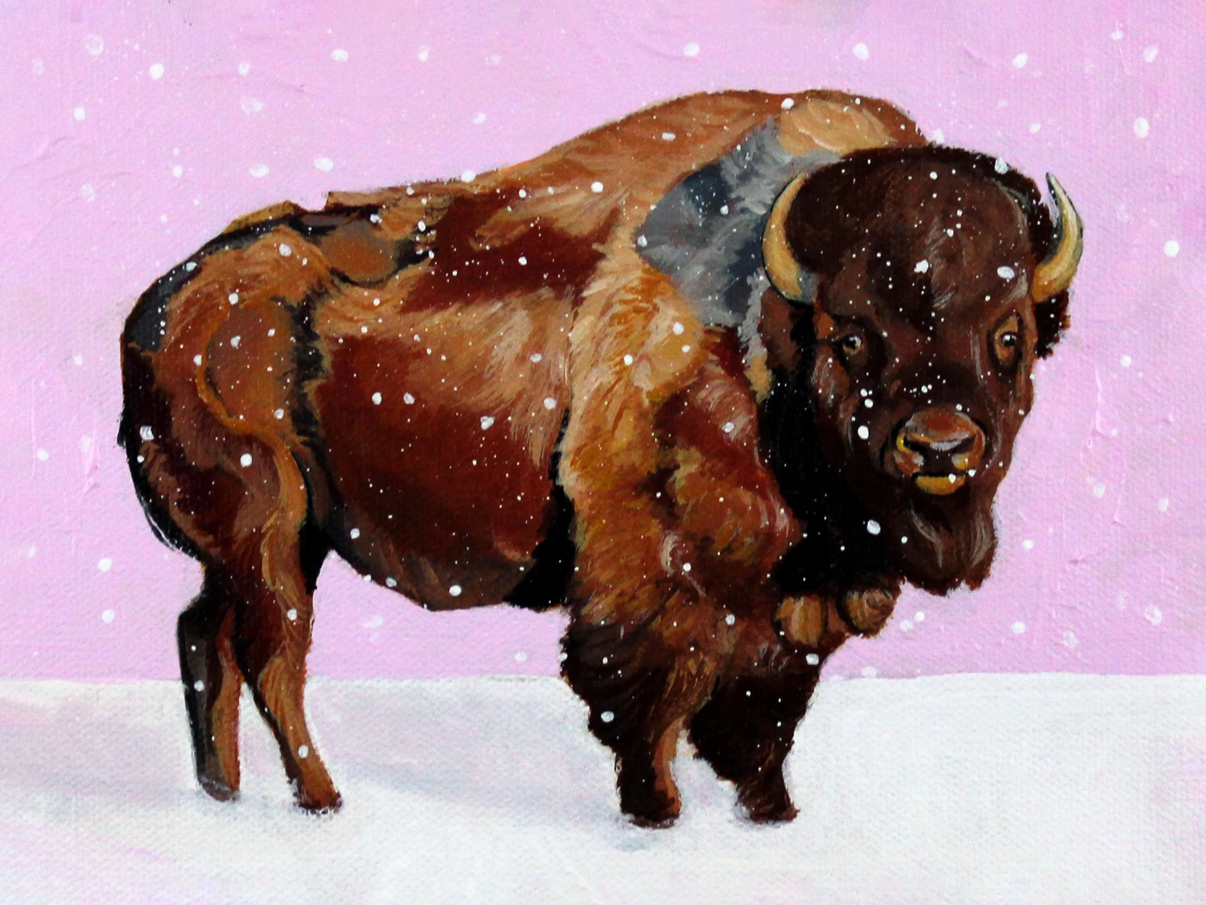Bison 6x8.jpg