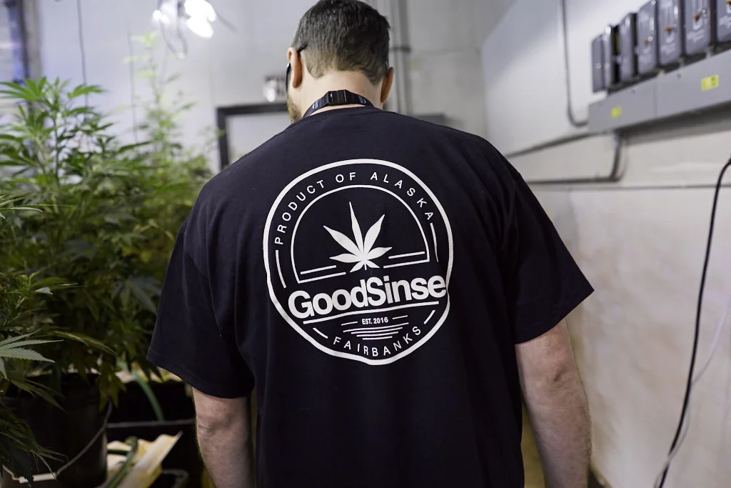 GoodSinse