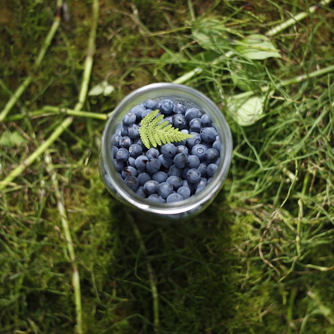 nourish-your-creativity.jpg