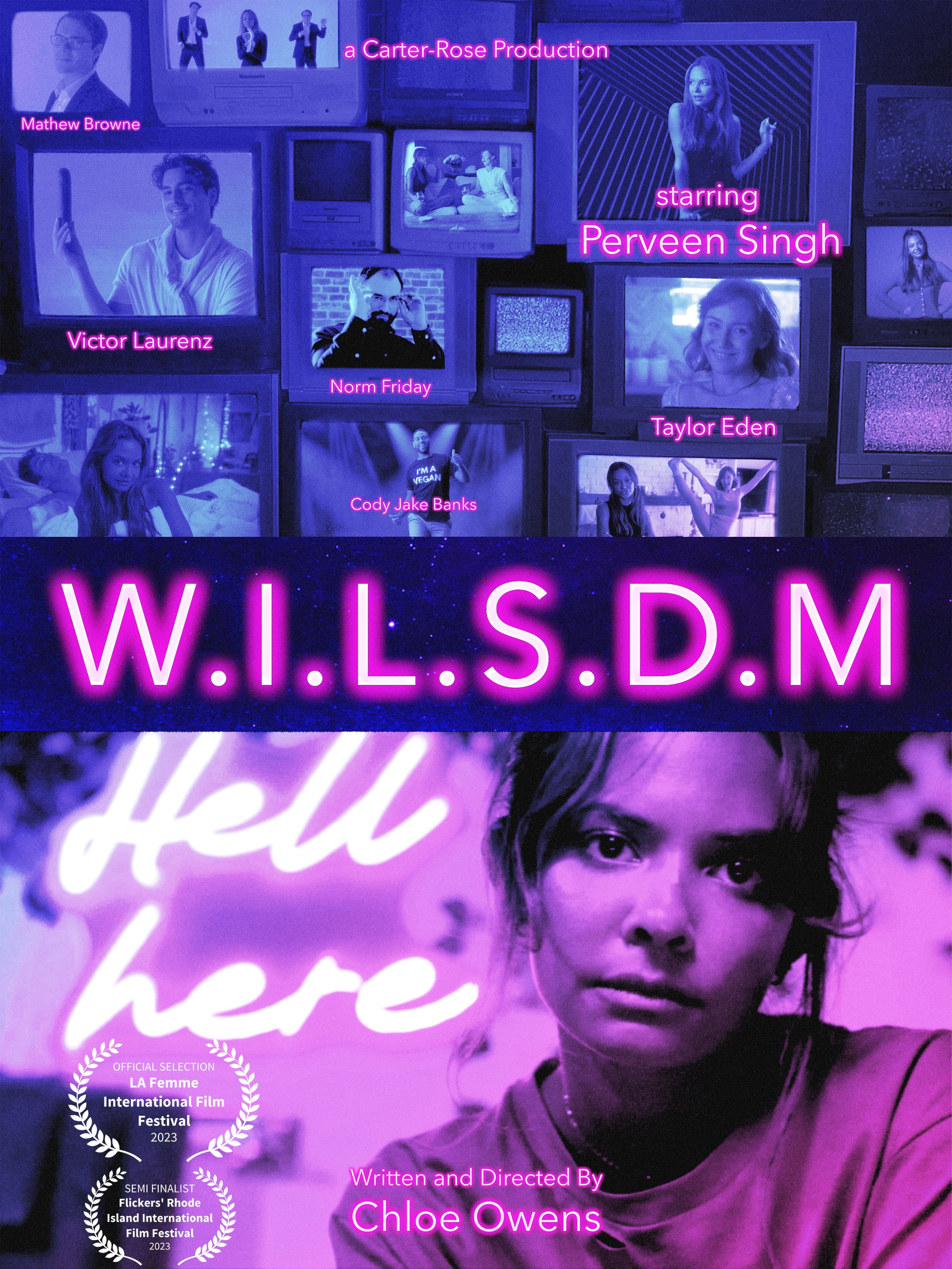 W.I.L.S.D.M movie poster 2.jpg