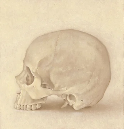 skullprofile.jpg