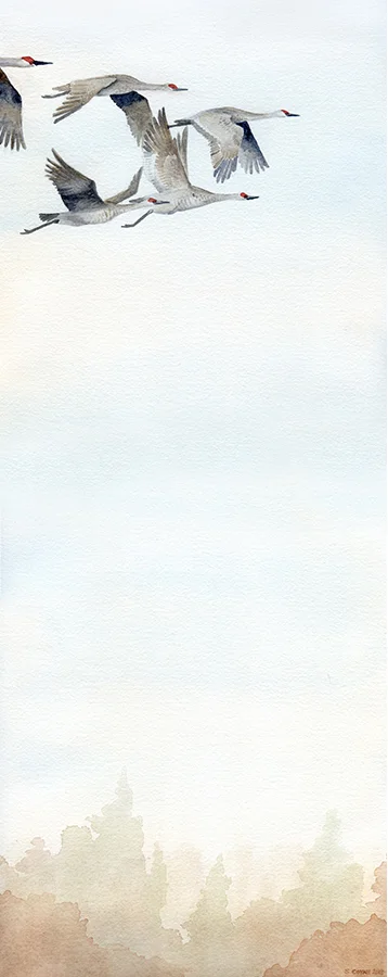 c3f861600b6a9289821bbda0f61f5250.jpg