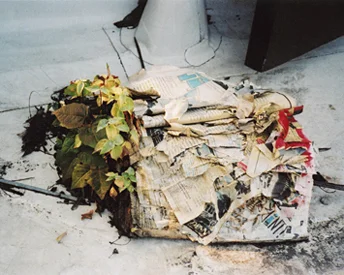 BookTree.jpg