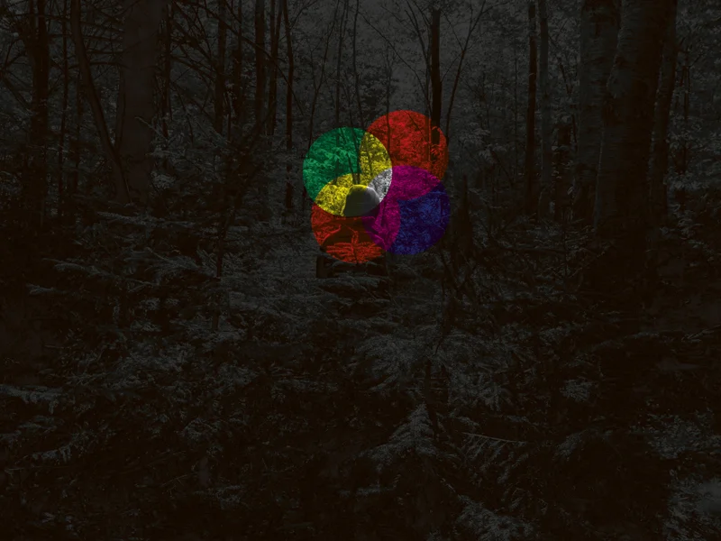 Andrew Frost: Trees