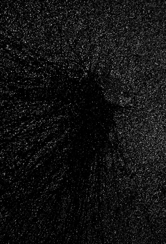 William Douglas: Untitled 5