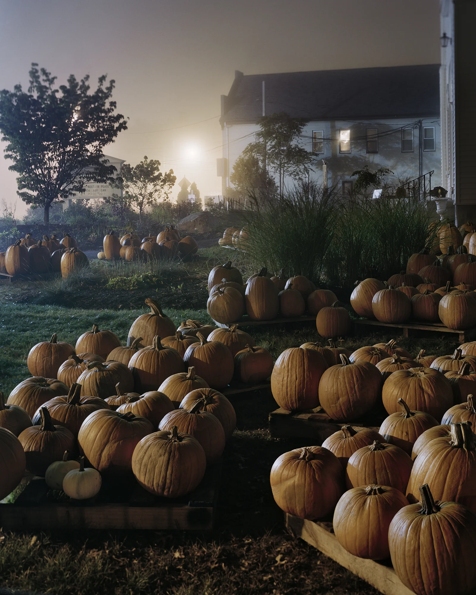 Joseph_Ritchie_Pumkins Whitman, Massachusetts, 2017.jpg