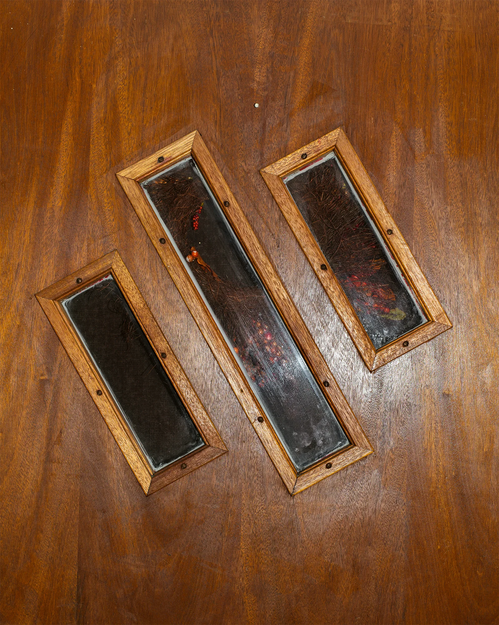 OnlineExhibition_DavesDoor.jpg