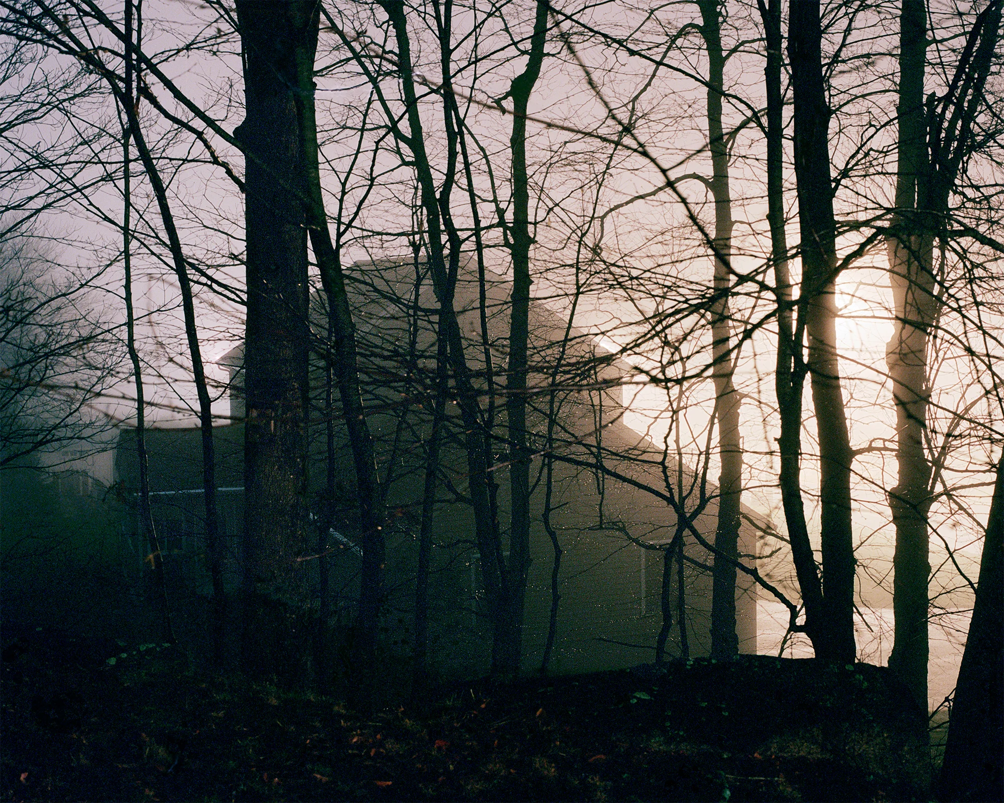 OnlineExhibition_NeighborsHouseThroughTrees.jpg