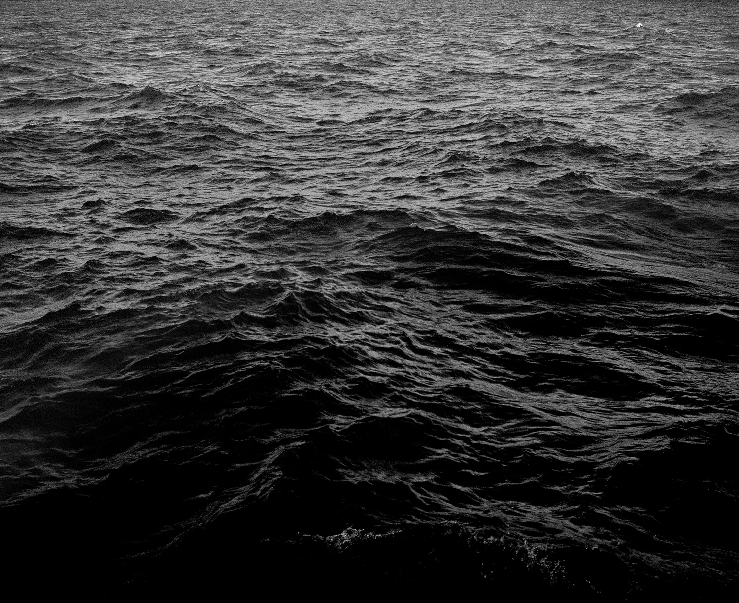 Rowe_Shawn_Untitled_(black_water)_2017.jpg