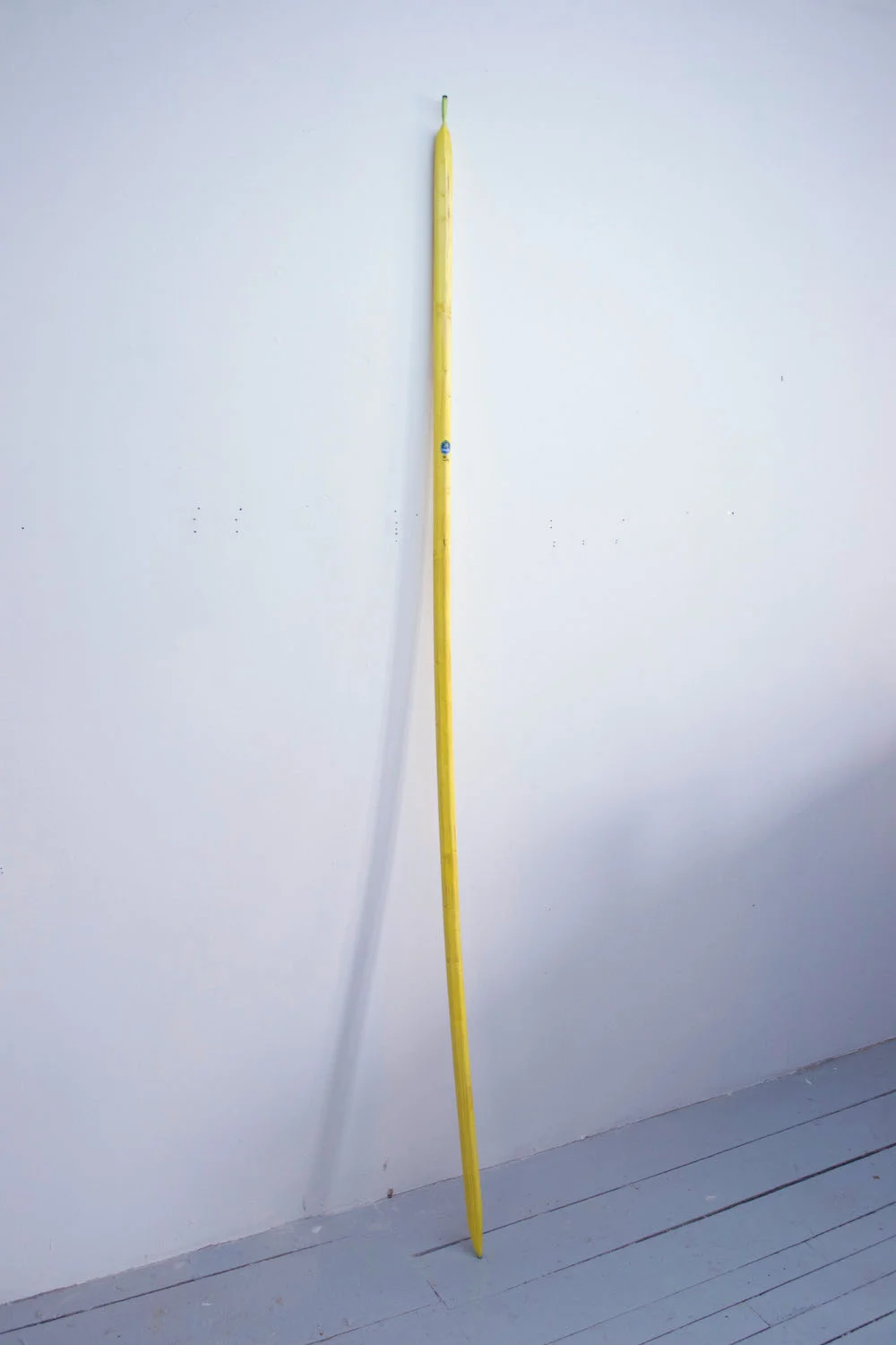 3_GOULD_Banana.jpg