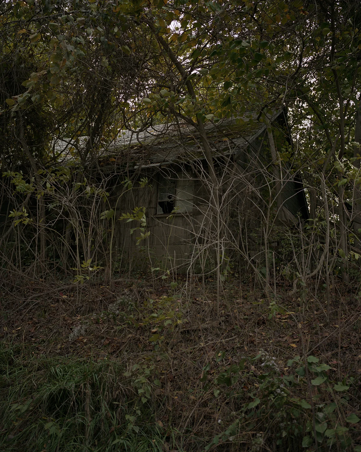 Mitchell_Hurst_04.jpg