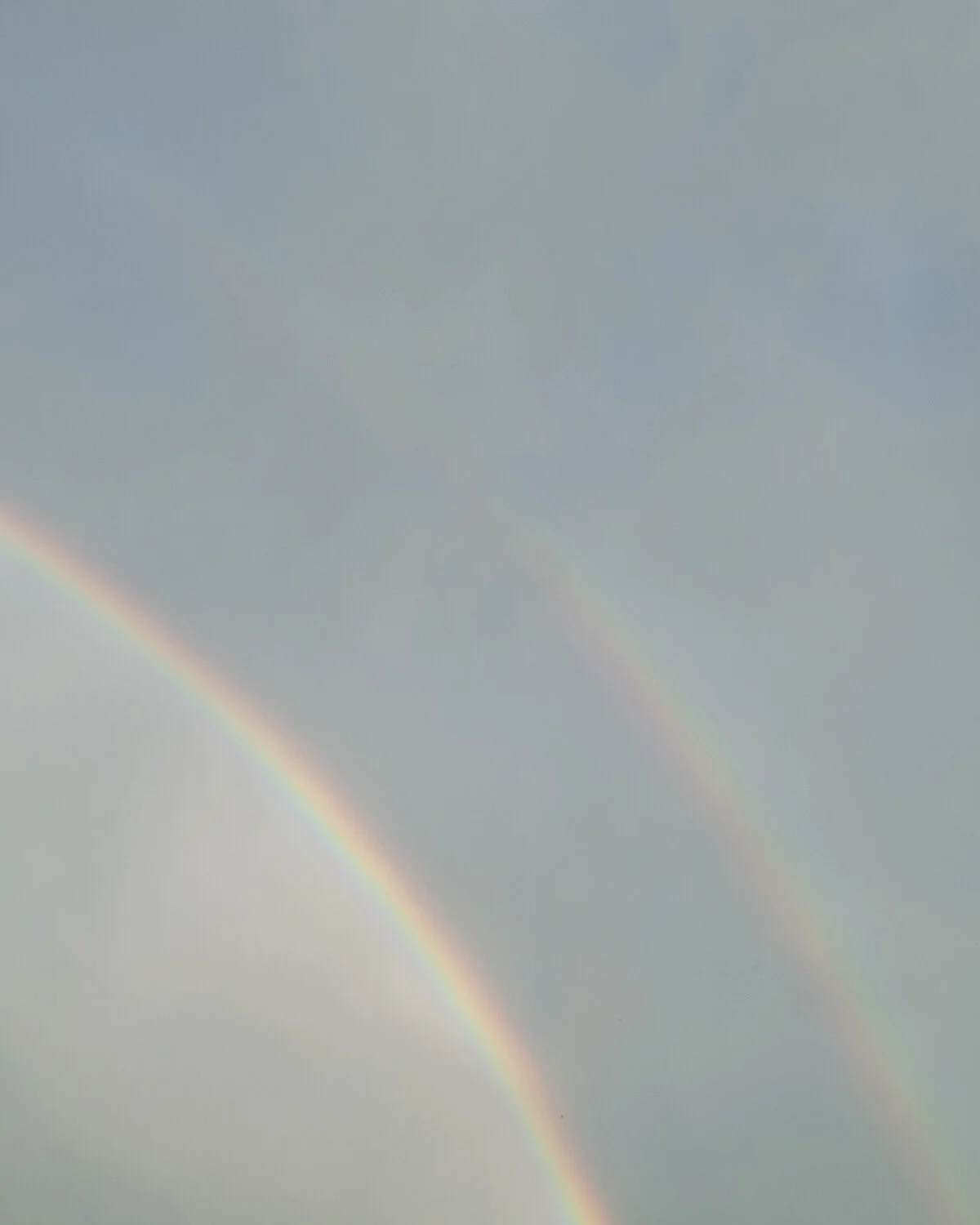 doublerainbow_aviary.jpg