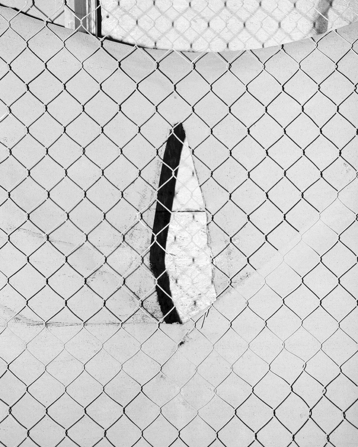 fence_aviary.jpg