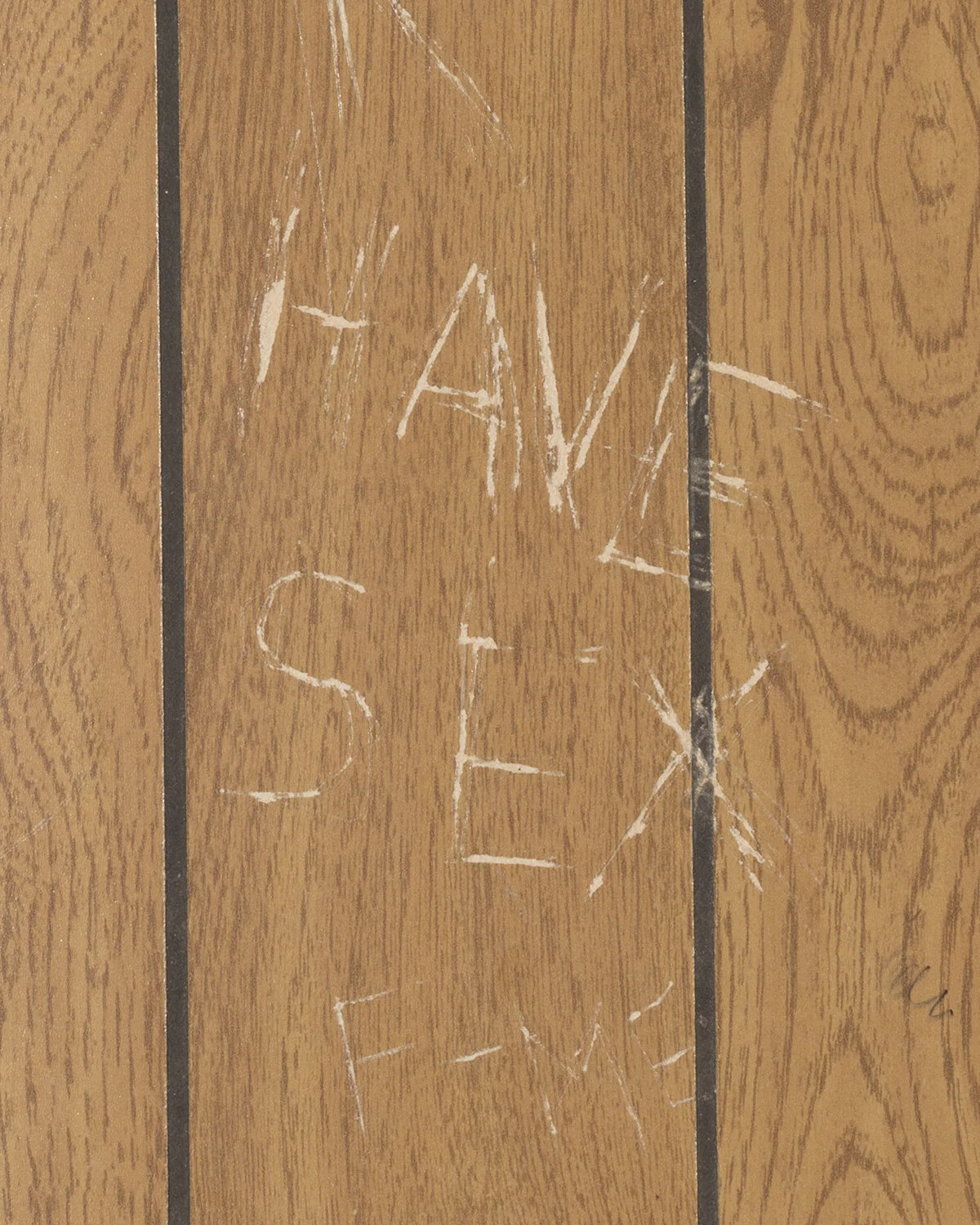 havesex_aviary.jpg