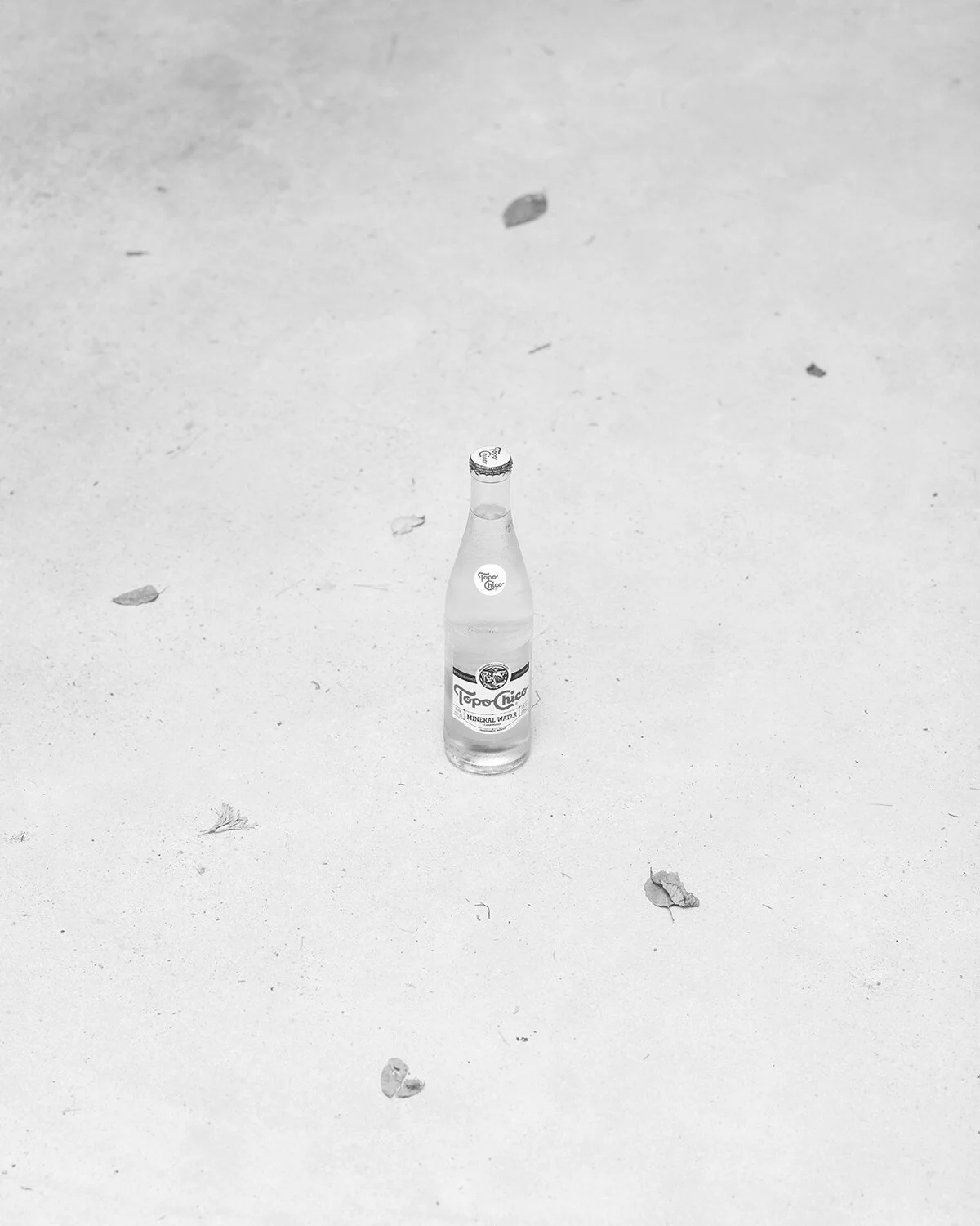 topochico_aviary.jpg