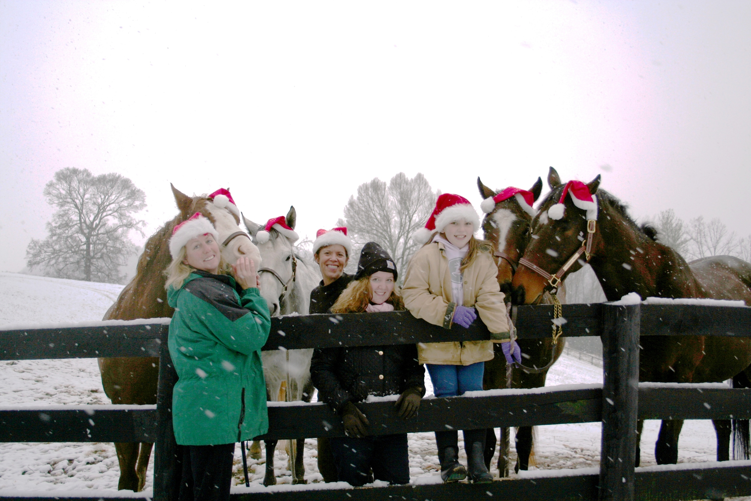 Horses with Santa hats.jpg