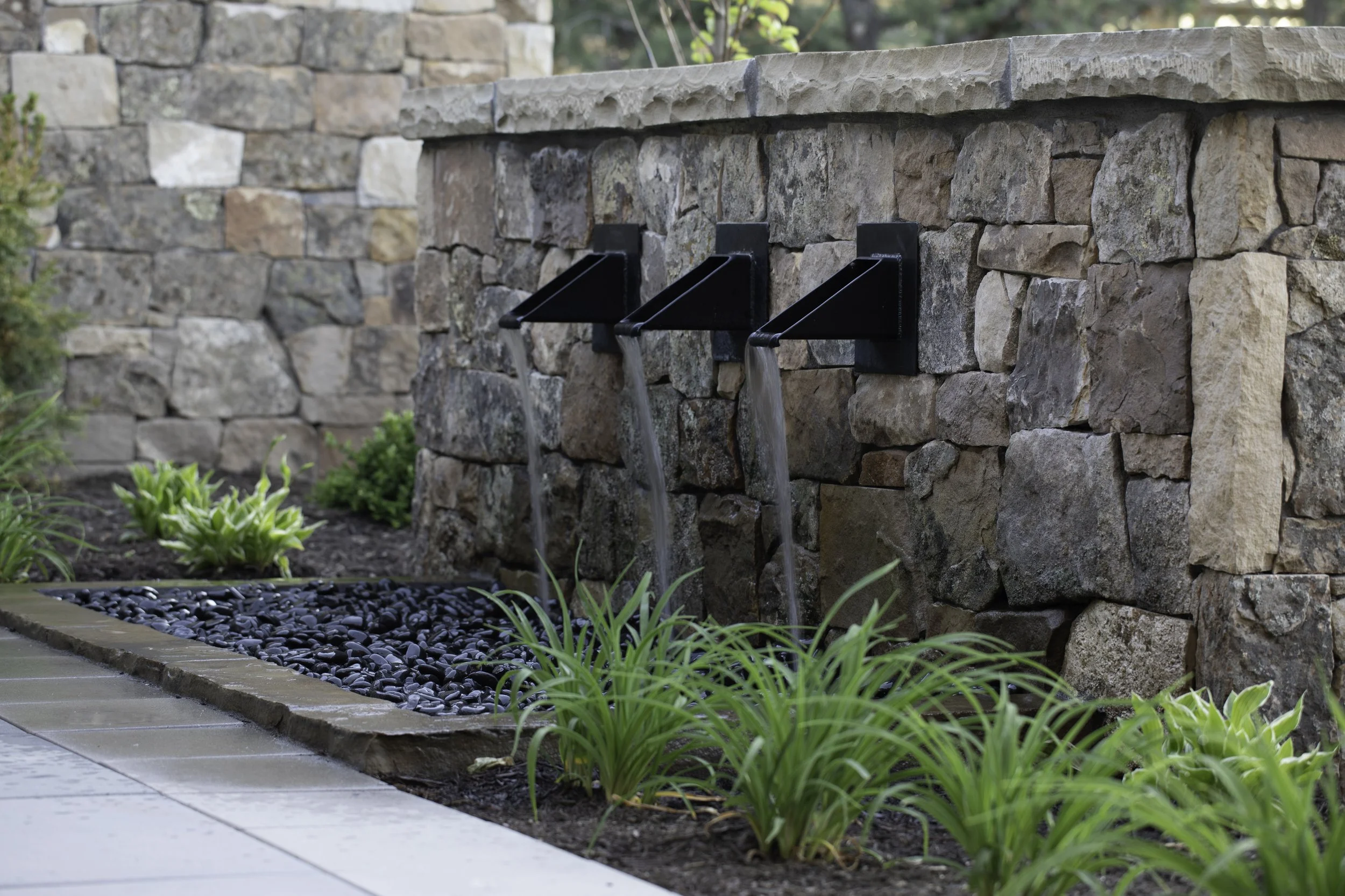 Szabo-PacificHeights-Cheryl-McIntosh-Photographer-22.jpg