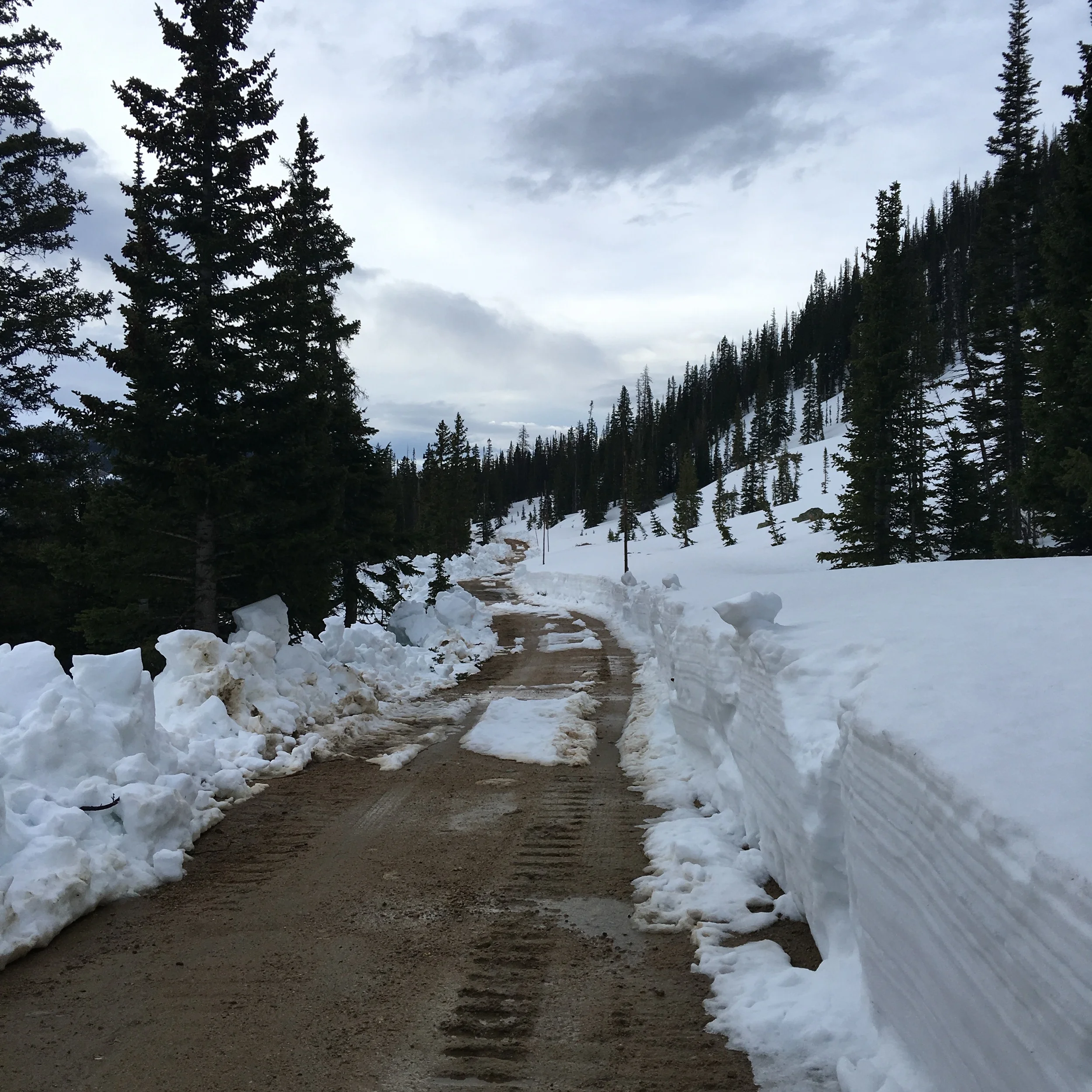 The Grand Ditch is plowed from Holzworth Historic Site to north of Mosquito Creek.