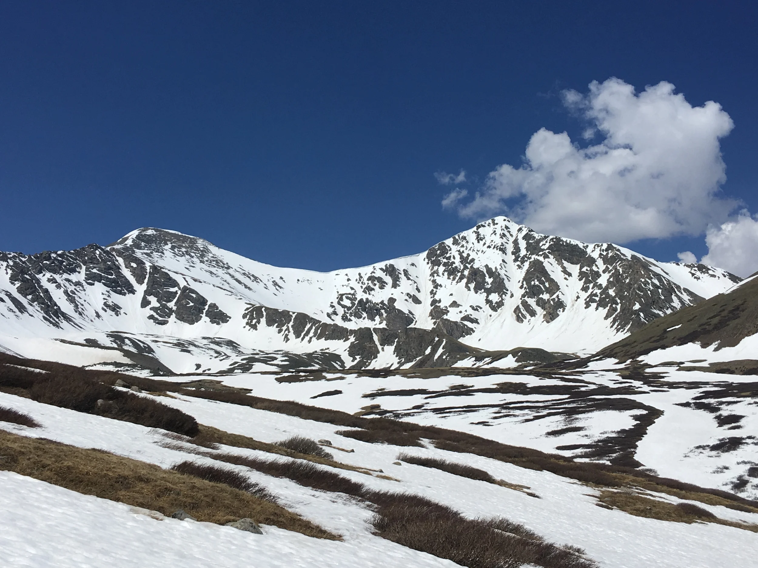 Grays (left) and Torreys Peak